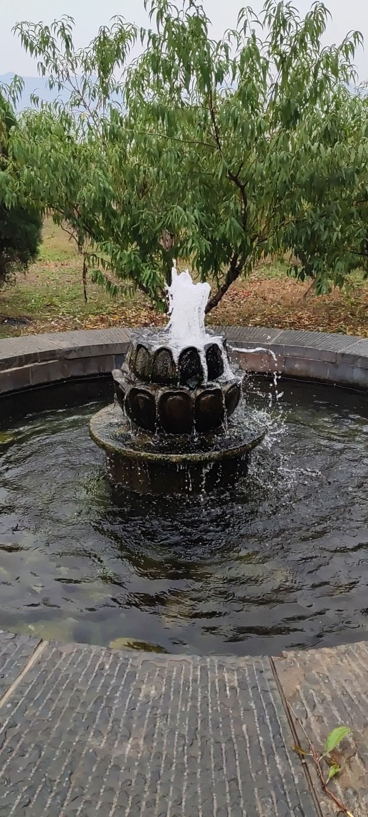 下里街湿地公园旅行图片 2
