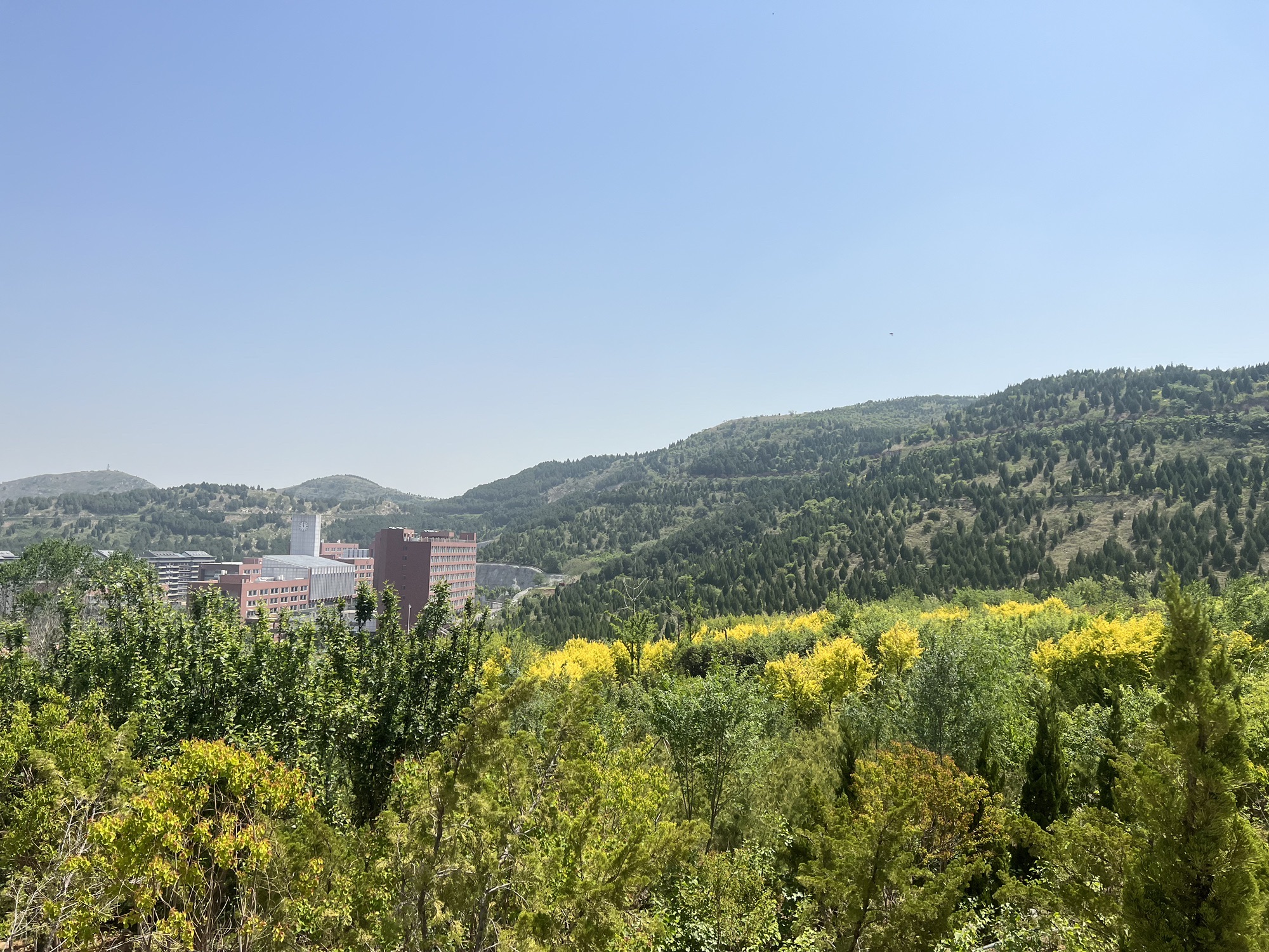 拖缰岭山体公园旅行图片 1