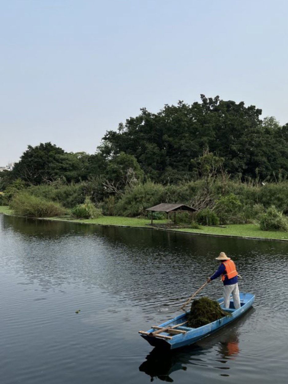右岸公园旅行图片 1