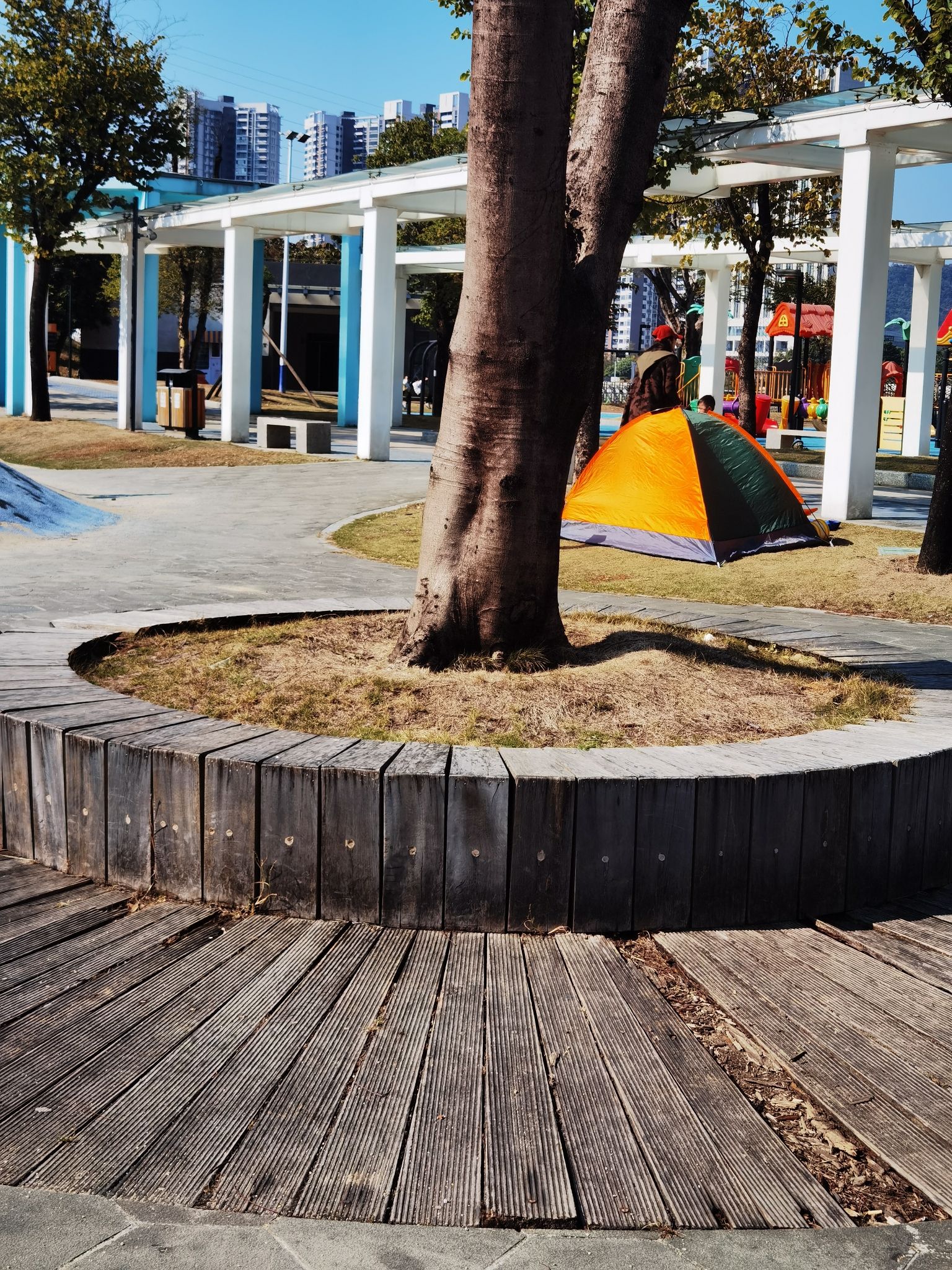 金溪湿地公园旅行图片 2