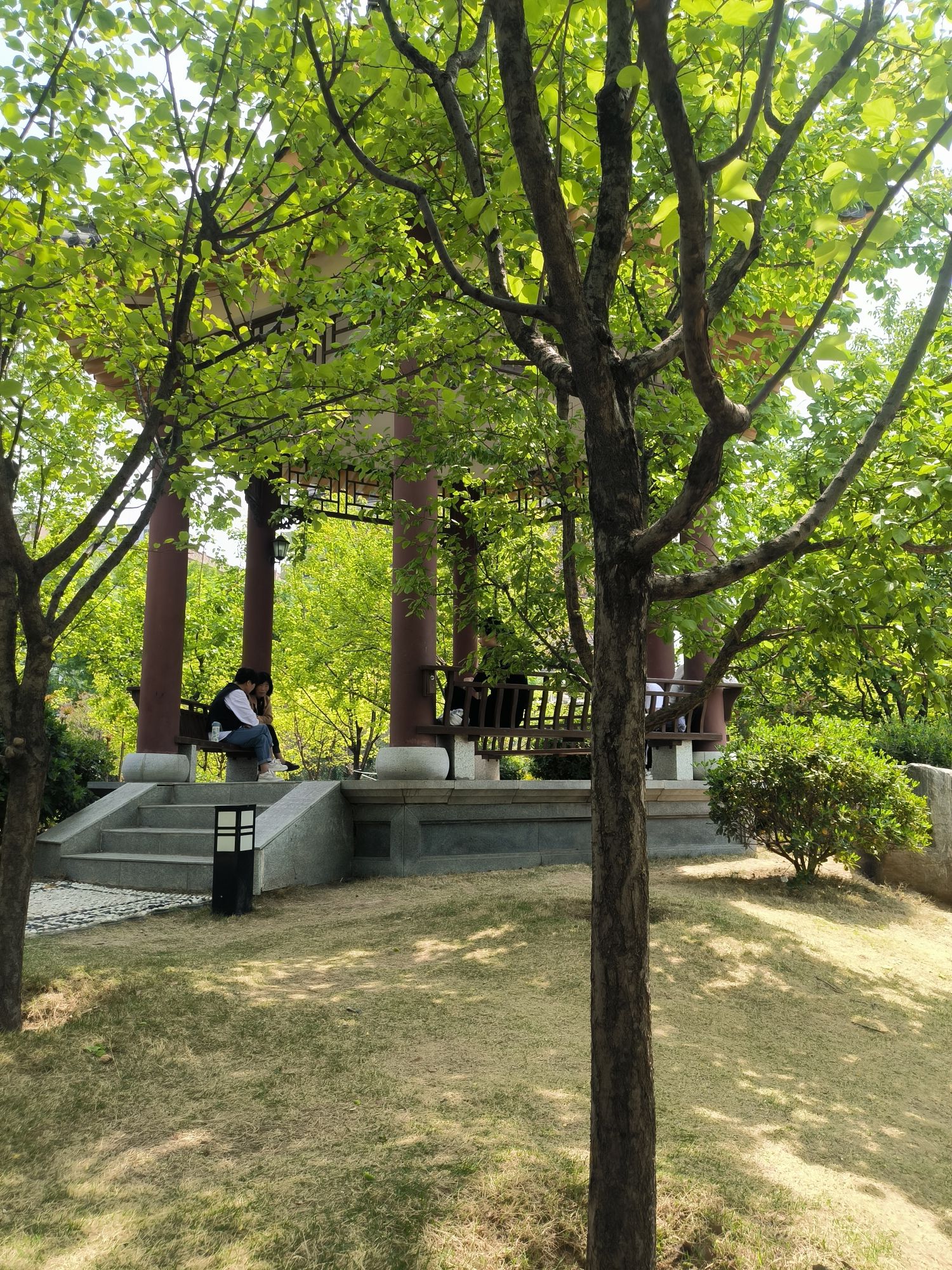 郑州雨园旅行图片 2