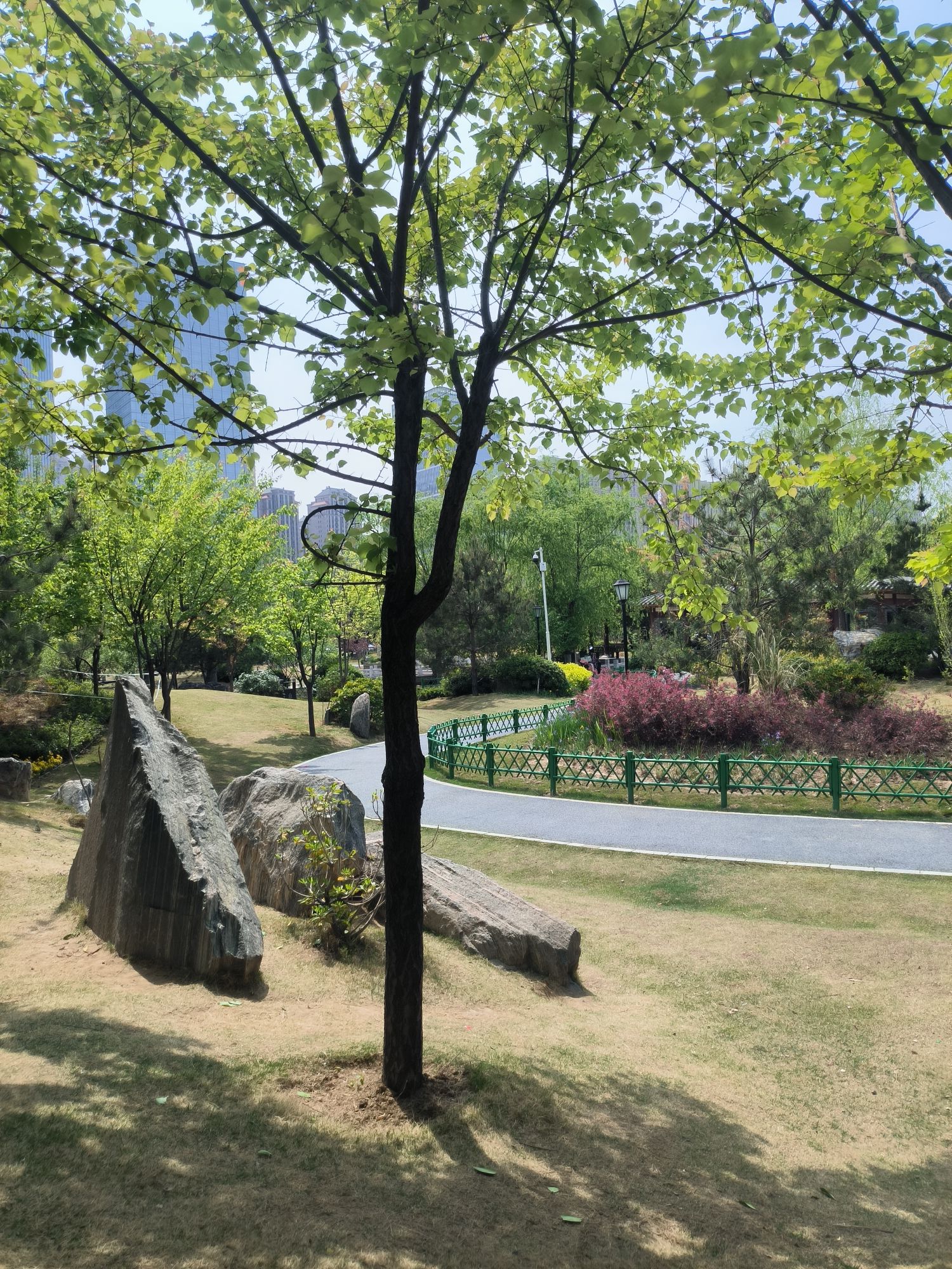 郑州雨园旅行图片 3