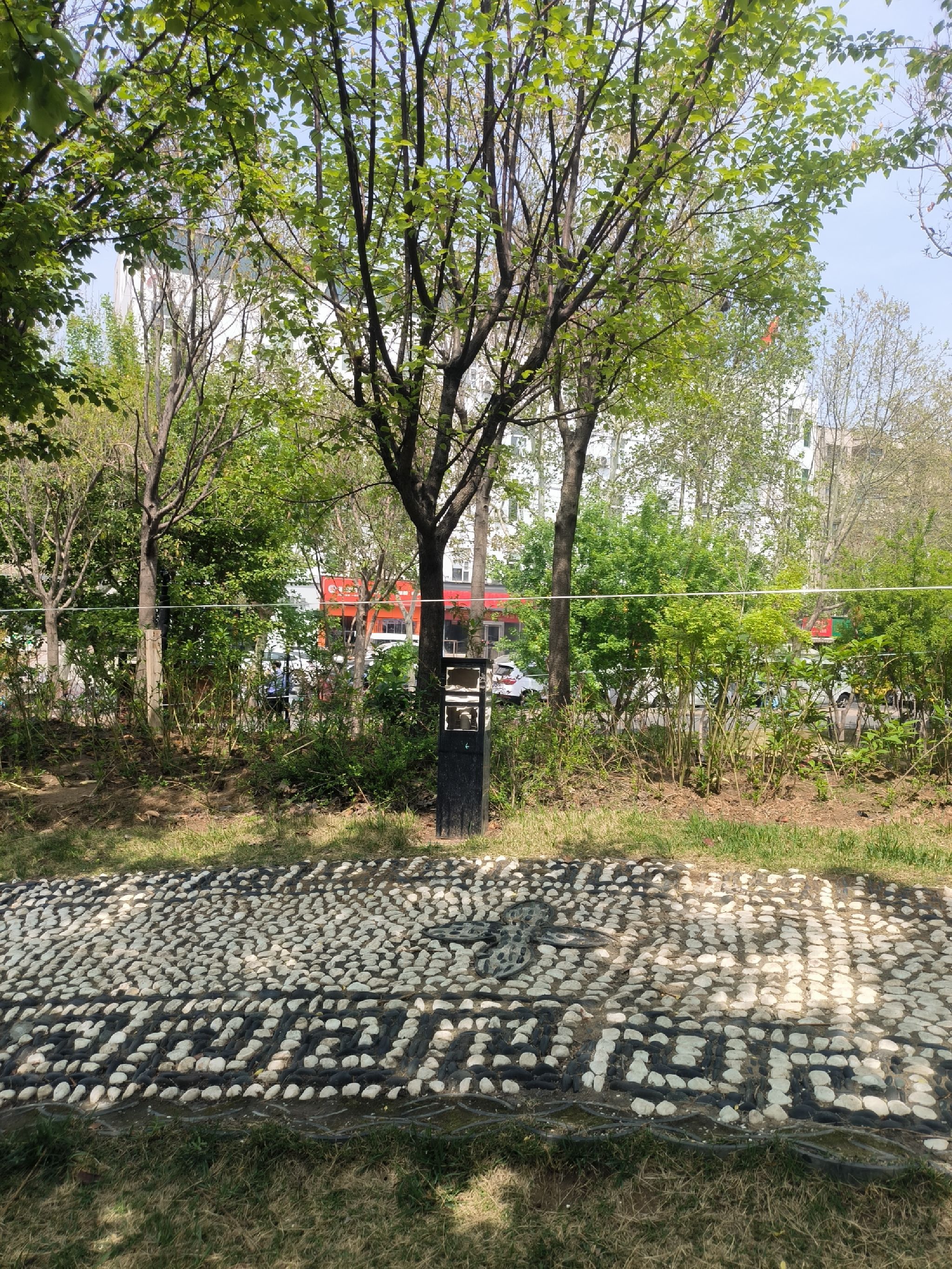 郑州雨园旅行图片 1