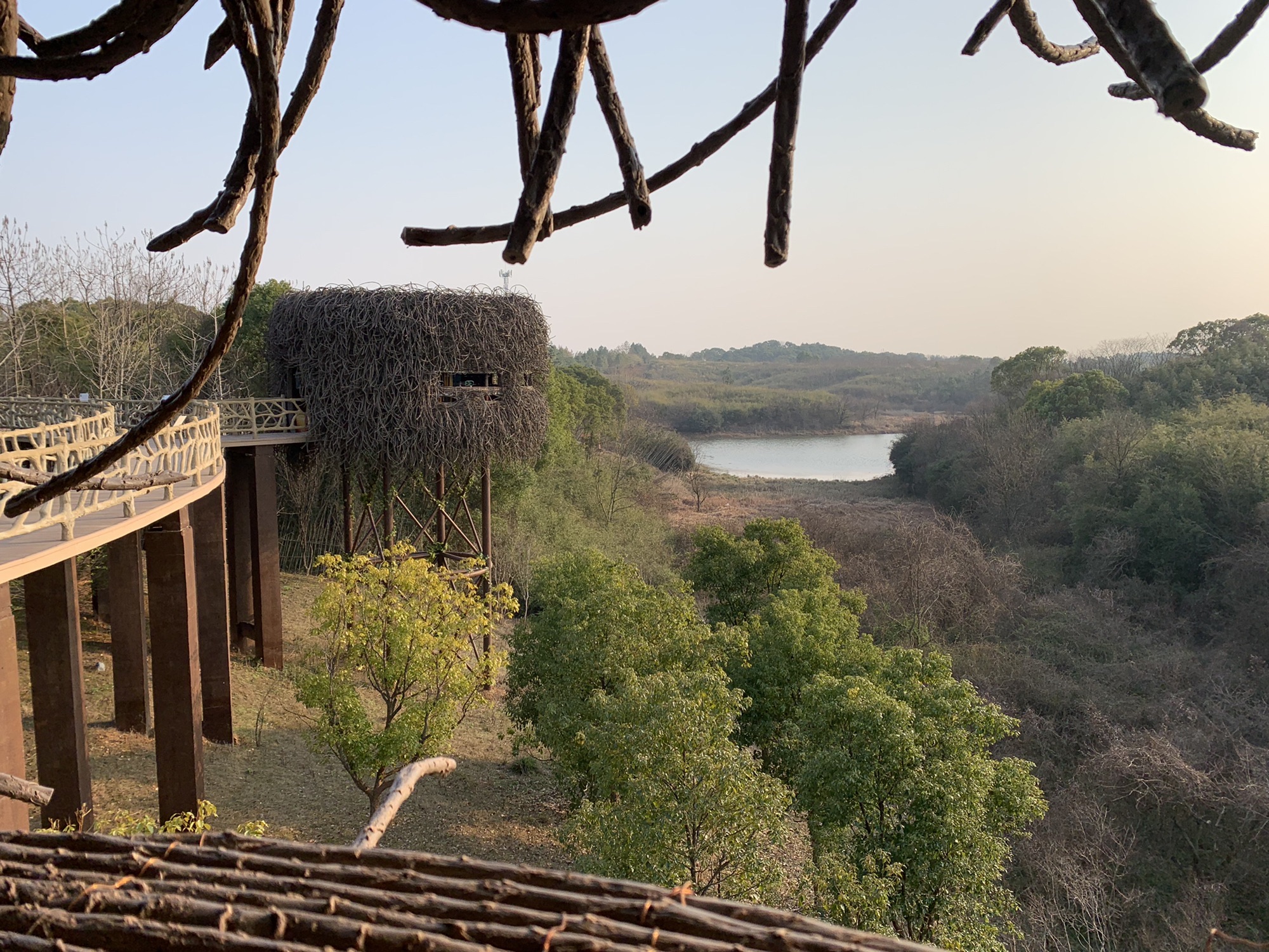 大湖池观鸟点旅行图片 3