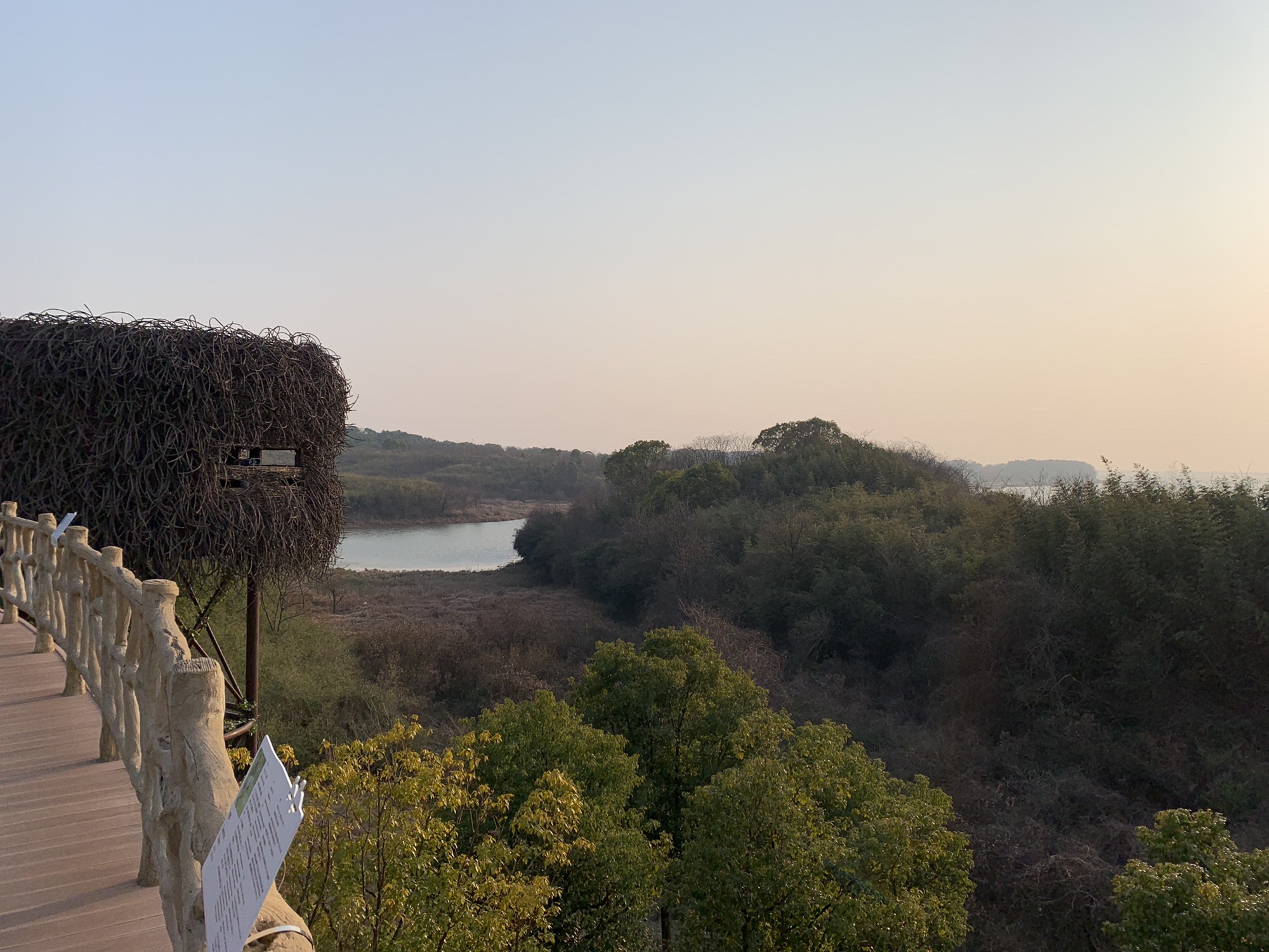 大湖池观鸟点旅行图片 2