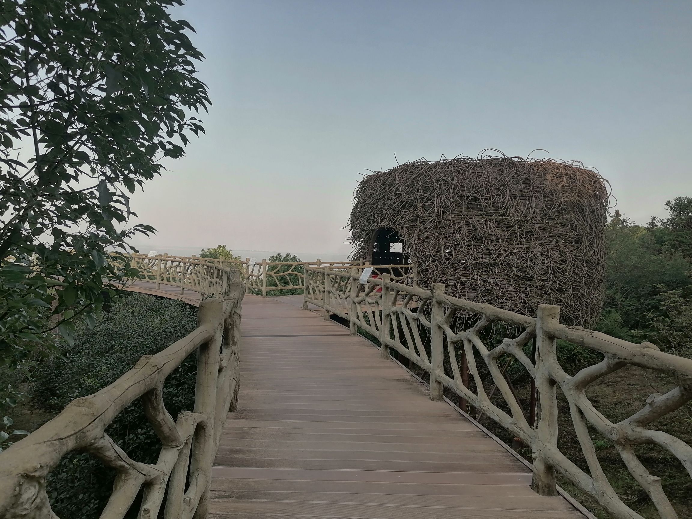 大湖池观鸟点旅行图片 2