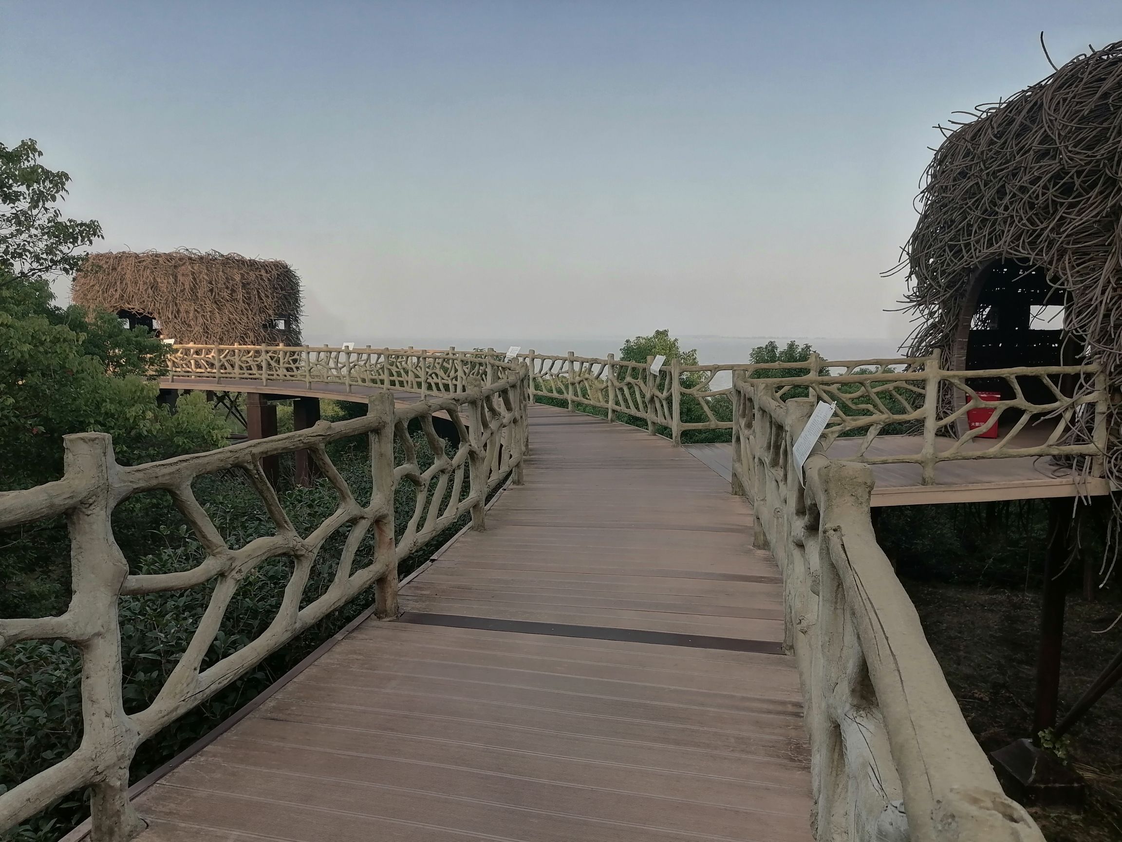 大湖池观鸟点旅行图片 3