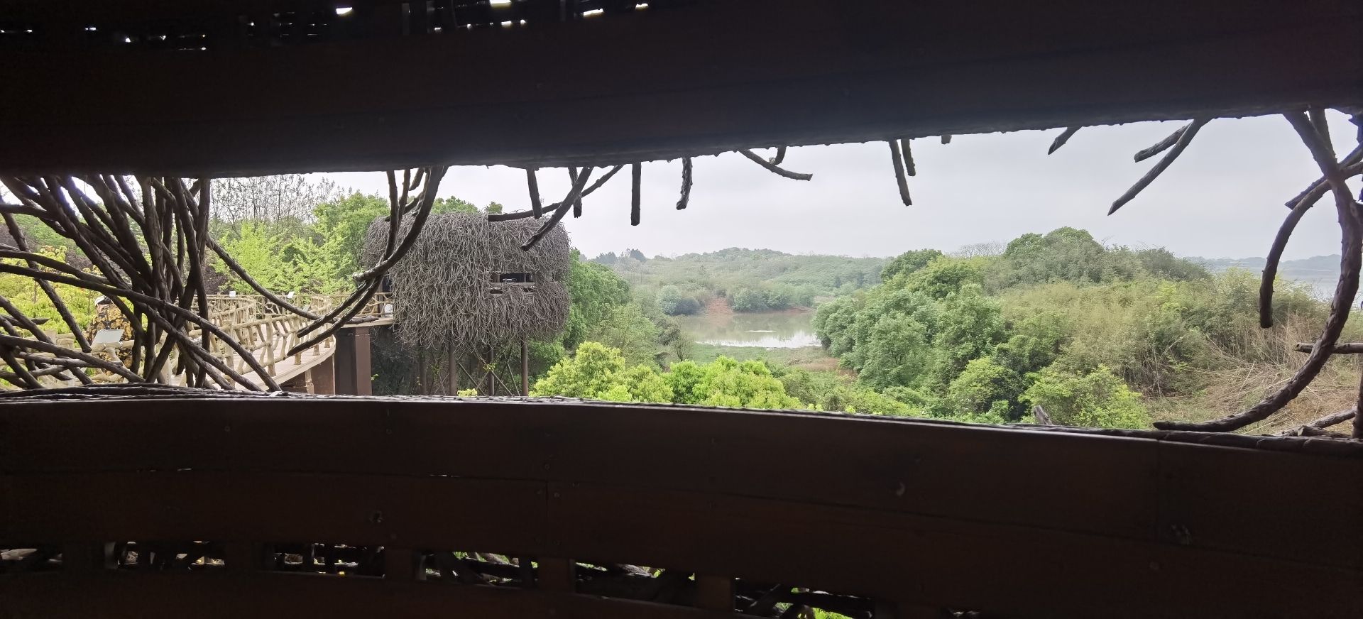 大湖池观鸟点旅行图片 3