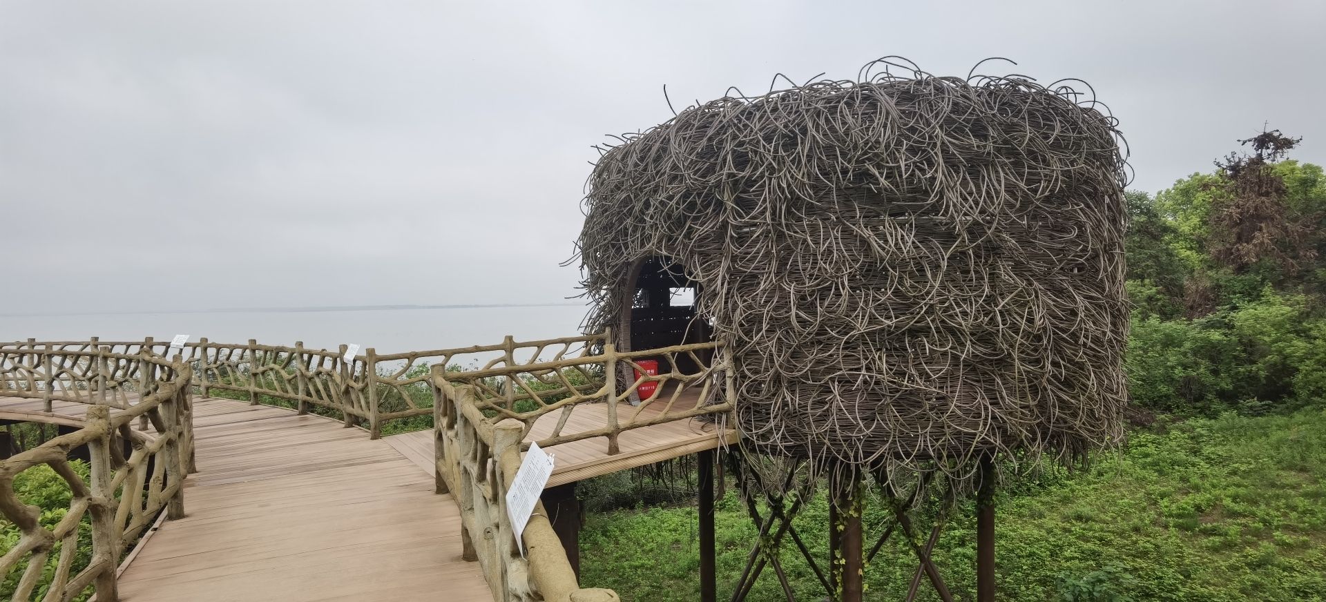 大湖池观鸟点旅行图片 2