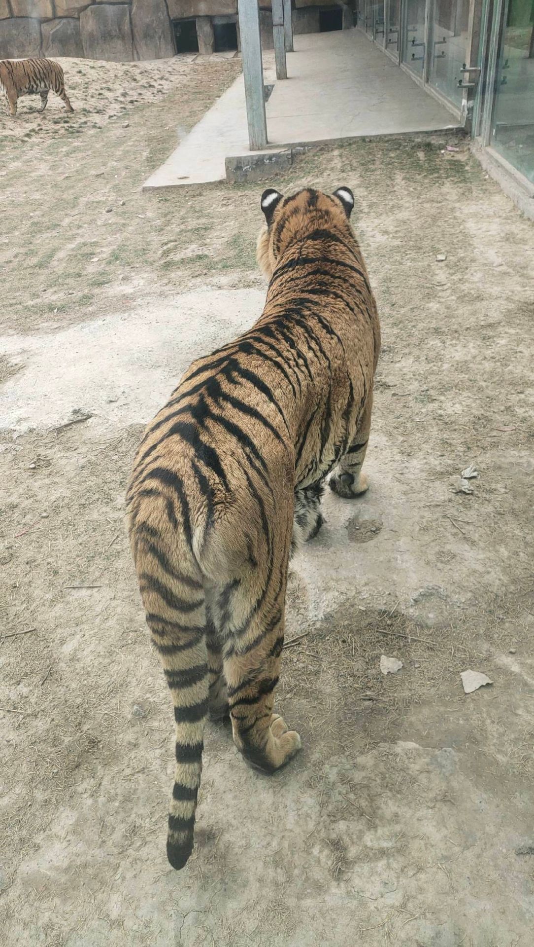 野生动物集散基地旅行图片 1