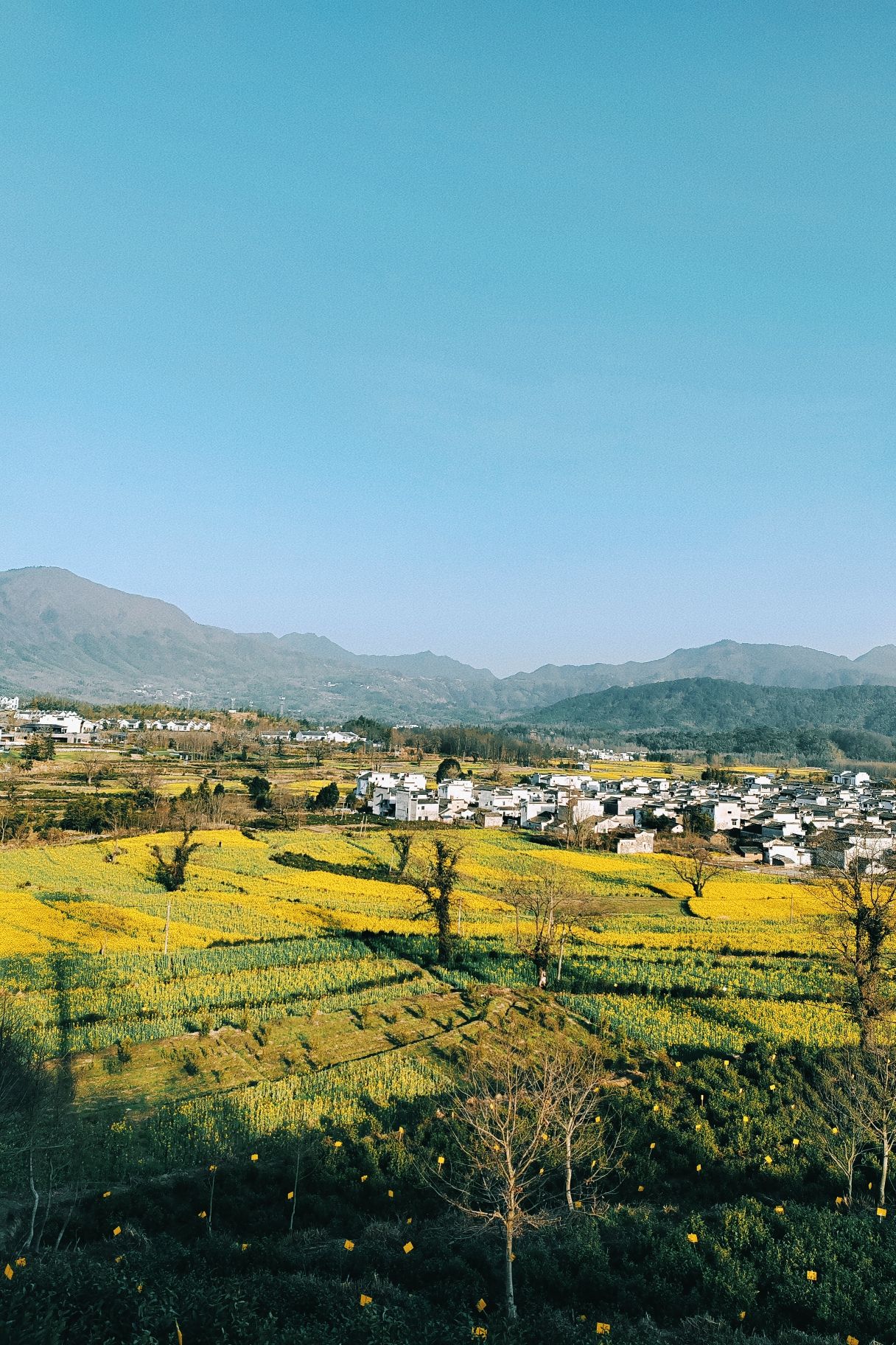 黄山1号风景道旅行图片 2