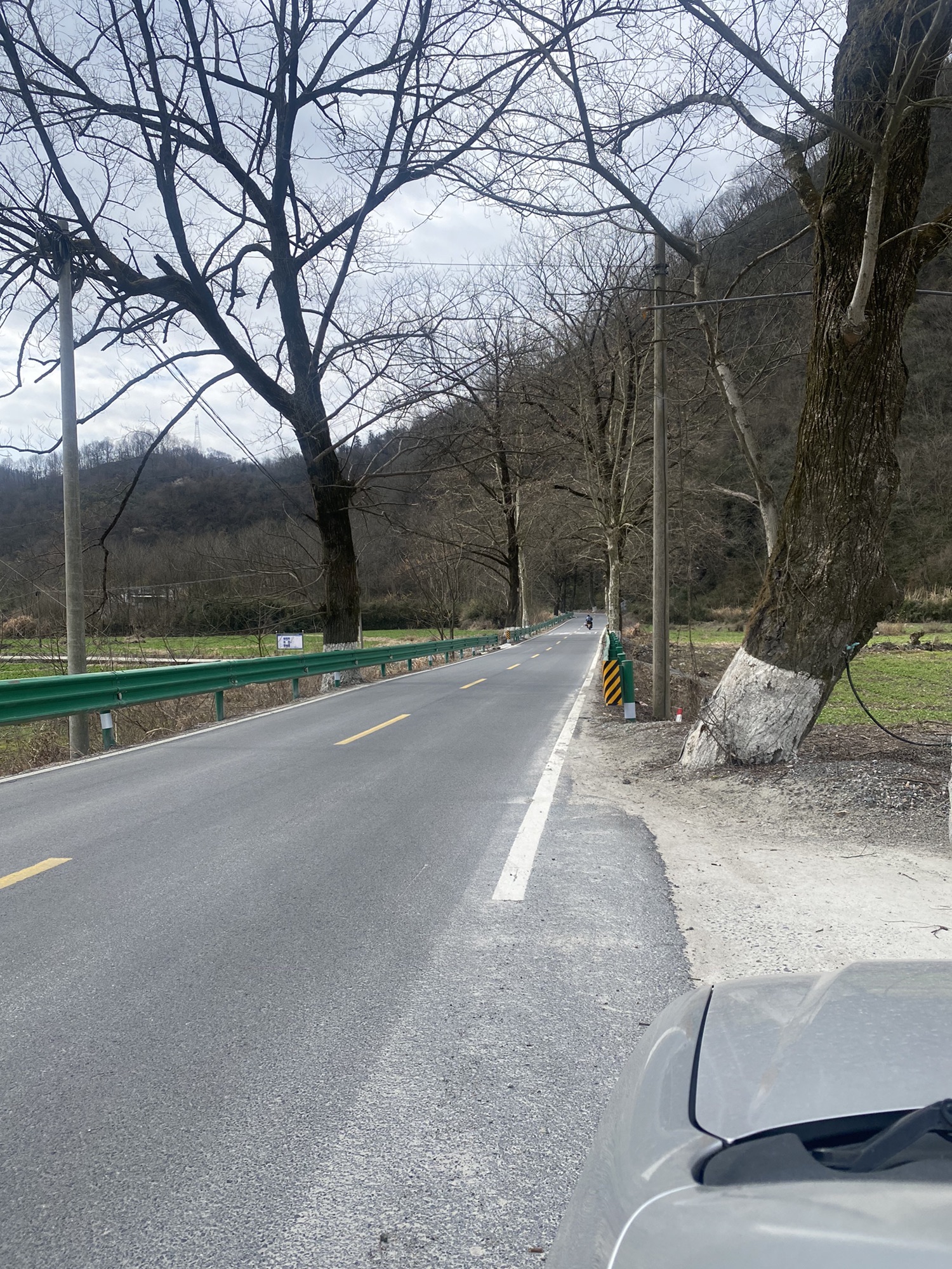 黄山1号风景道旅行图片 3