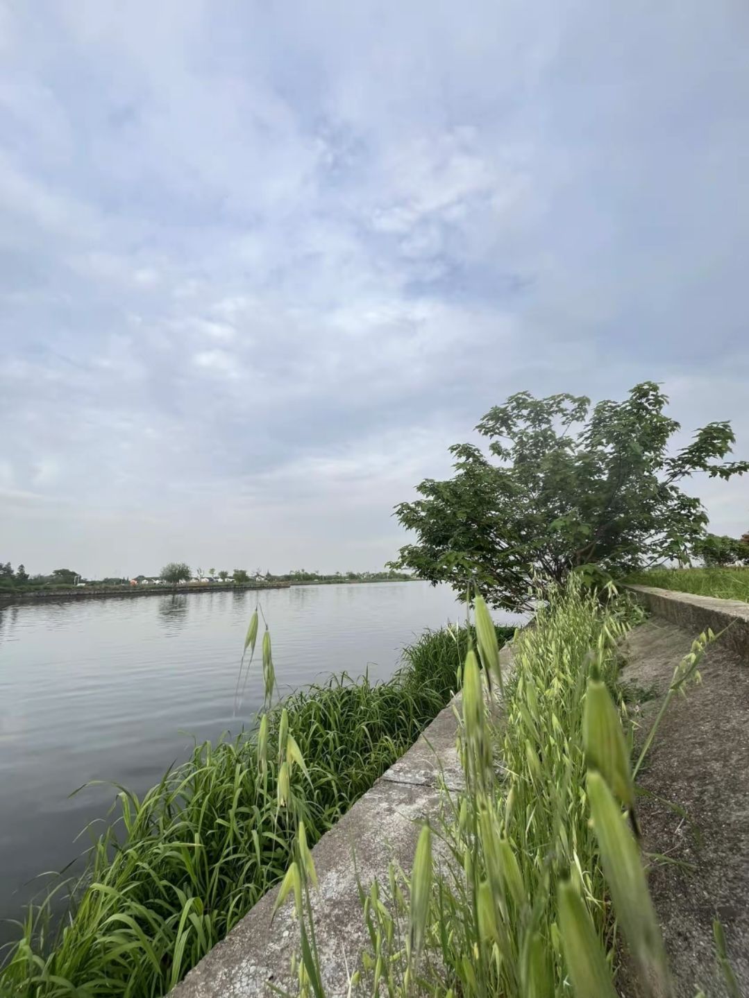 秋香步道旅行图片 1
