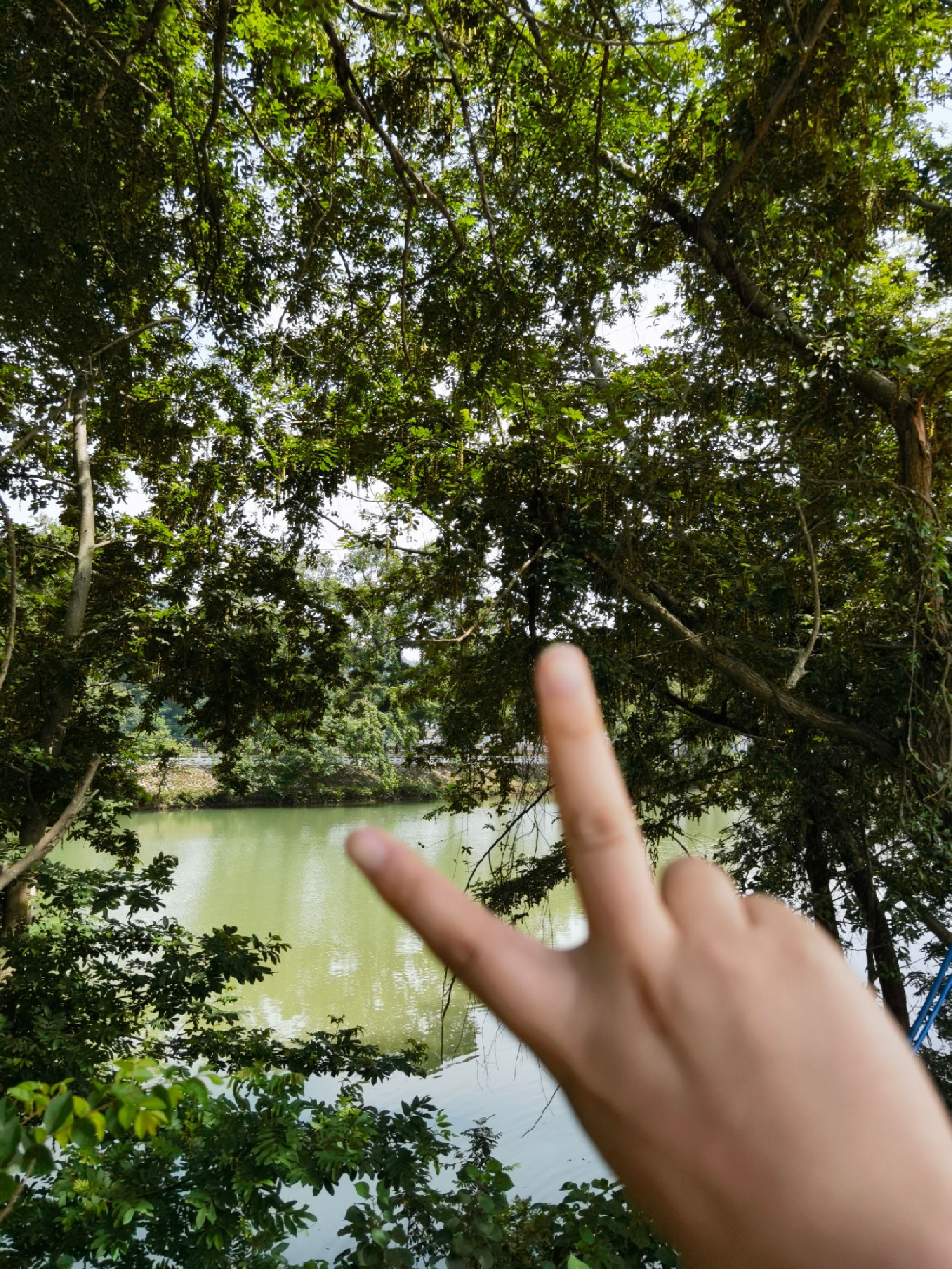 内莞风光-远山的诱惑观景台旅行图片 1