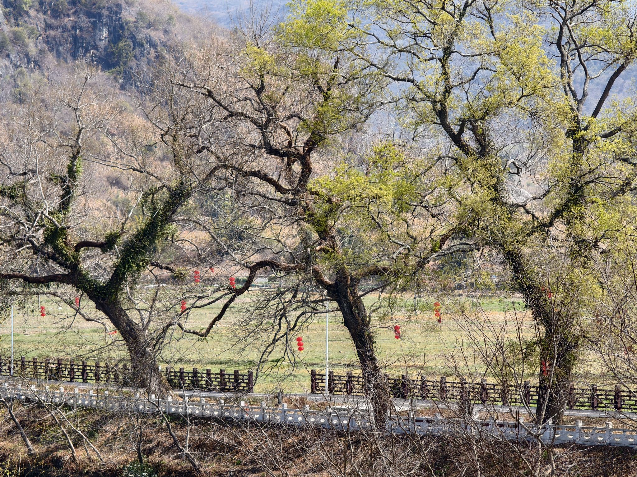 内莞风光-远山的诱惑观景台旅行图片 1