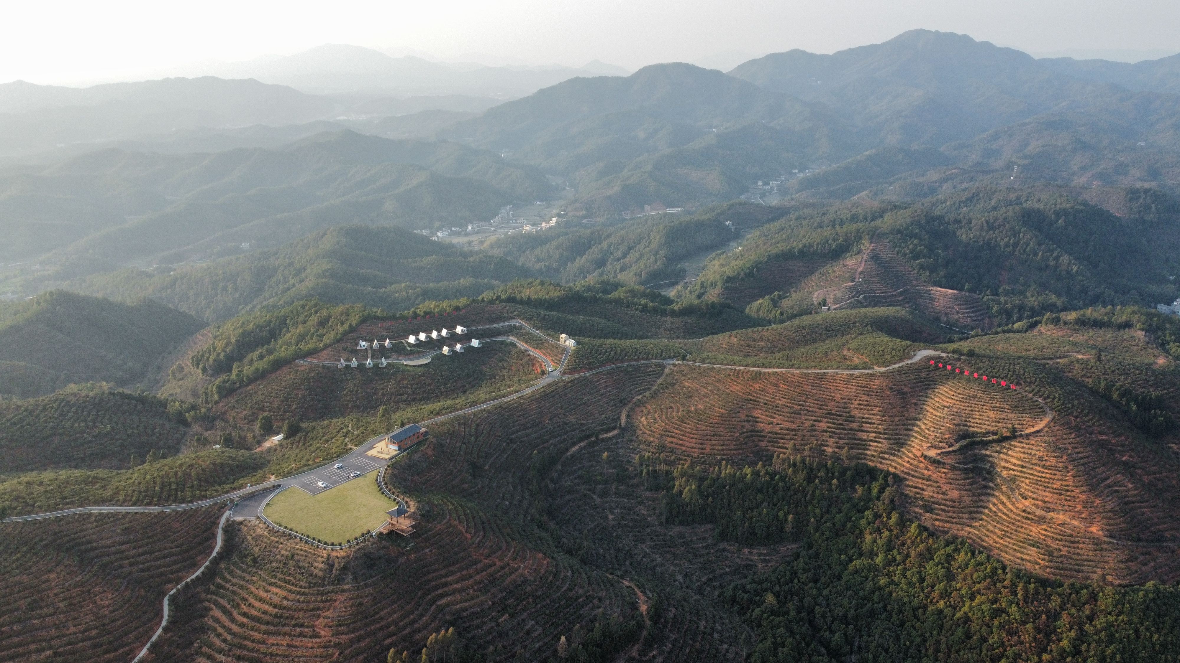 横市镇新坑村万亩茶园赏游登山步道旅行图片 2