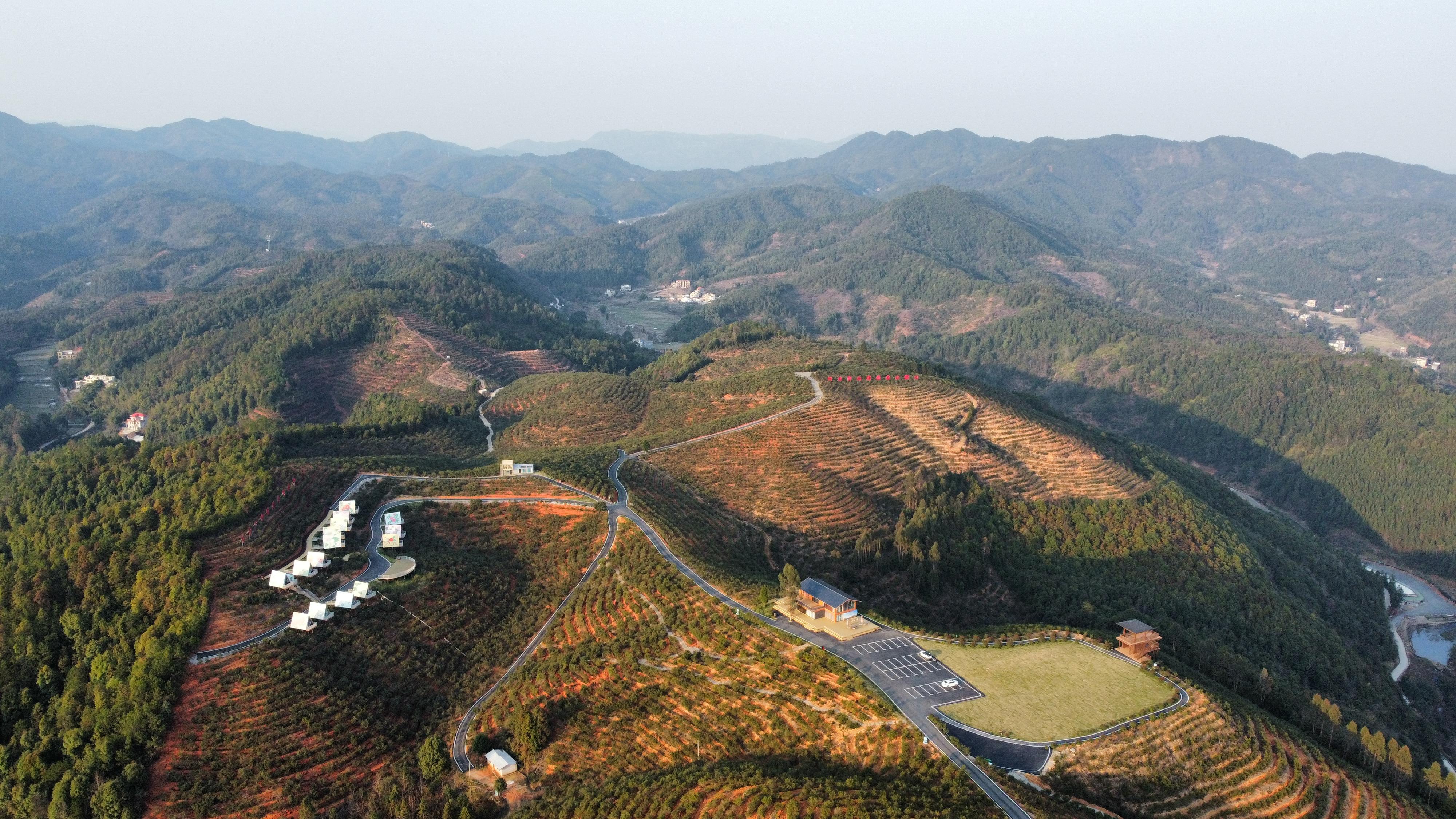 横市镇新坑村万亩茶园赏游登山步道旅行图片 3