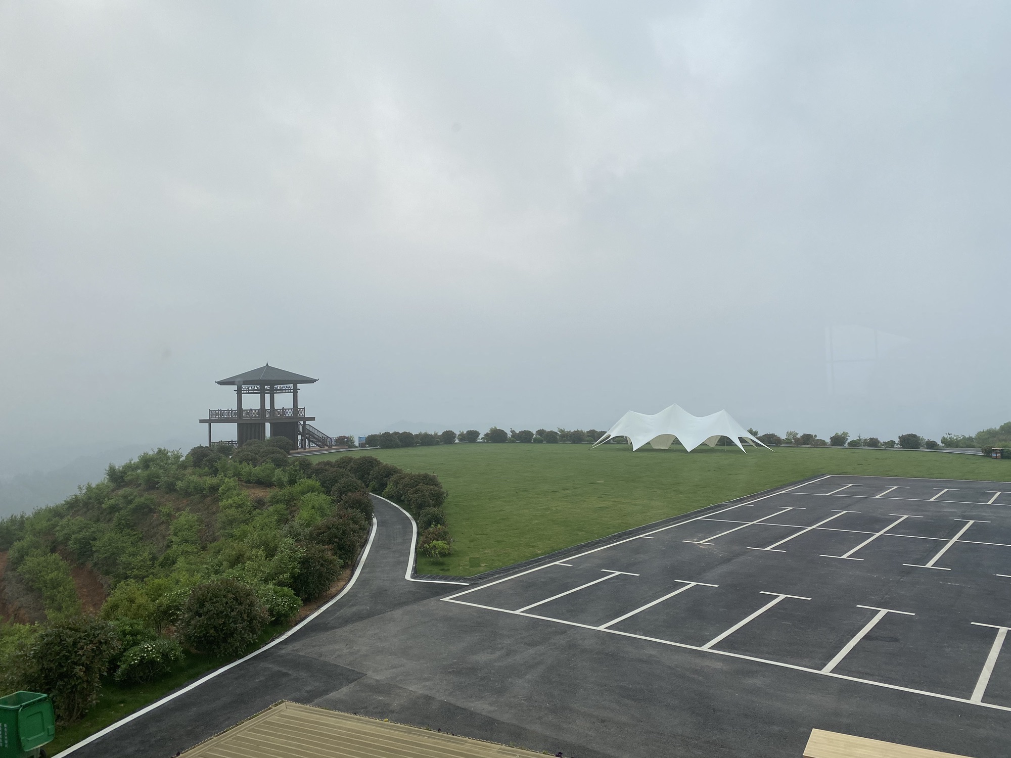 横市镇新坑村万亩茶园赏游登山步道旅行图片 1