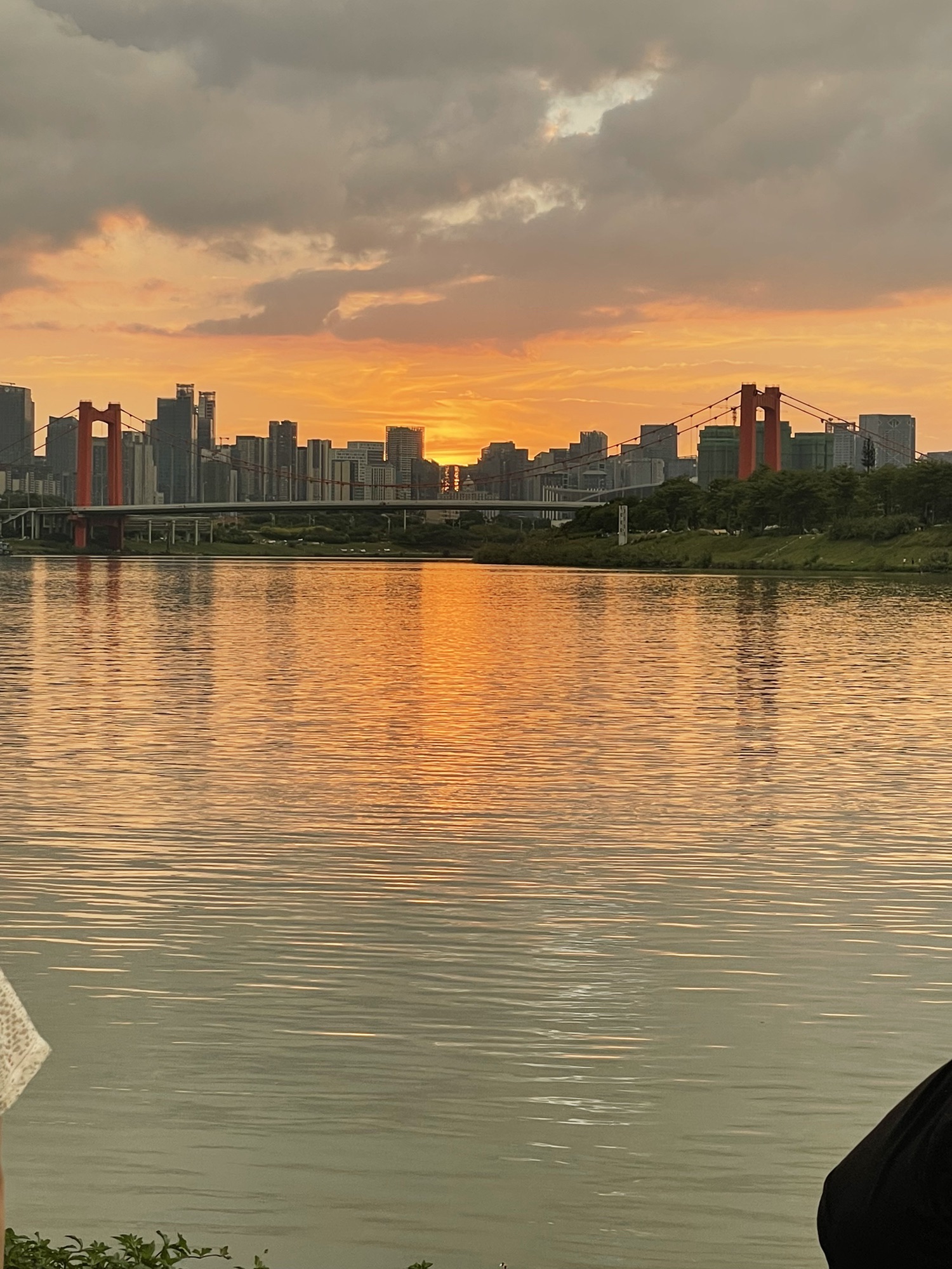 青山大桥观景台旅行图片 3