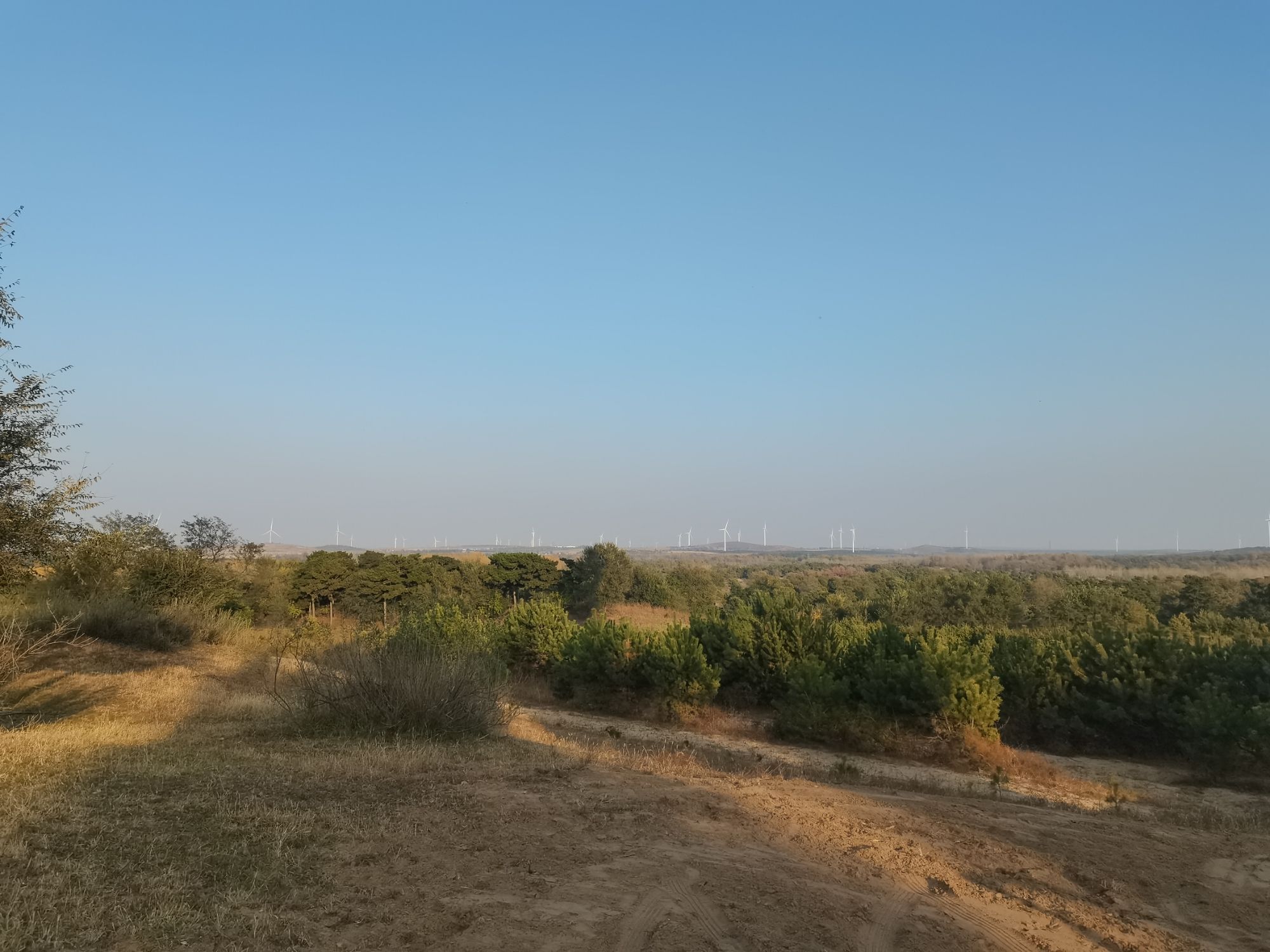 张家窑林场五彩枫林风景区旅行图片 2