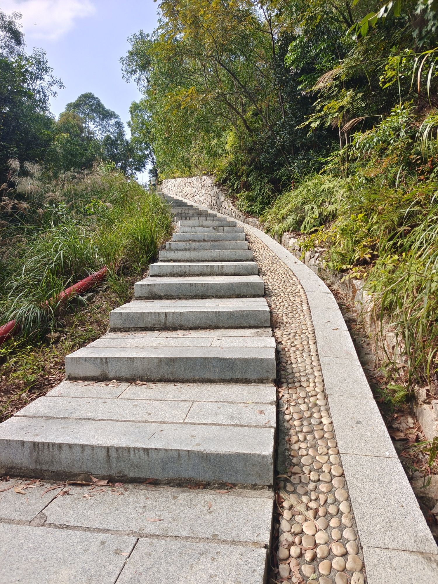红花山郊野公园旅行图片 3