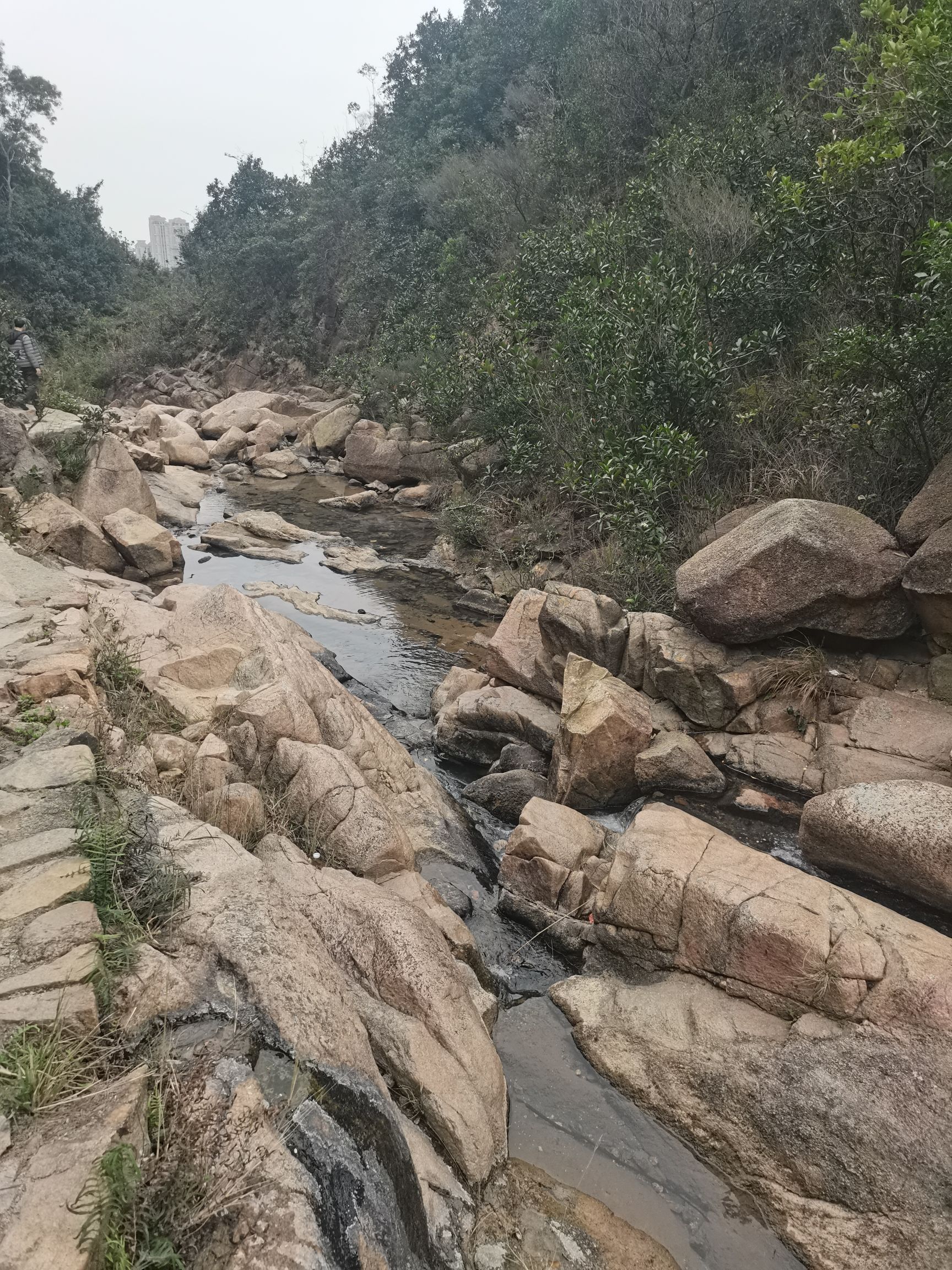 红花山郊野公园旅行图片 1