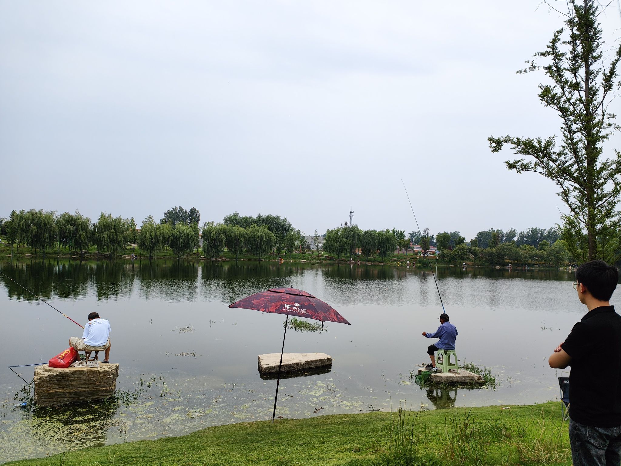 陈胜公园旅行图片 3