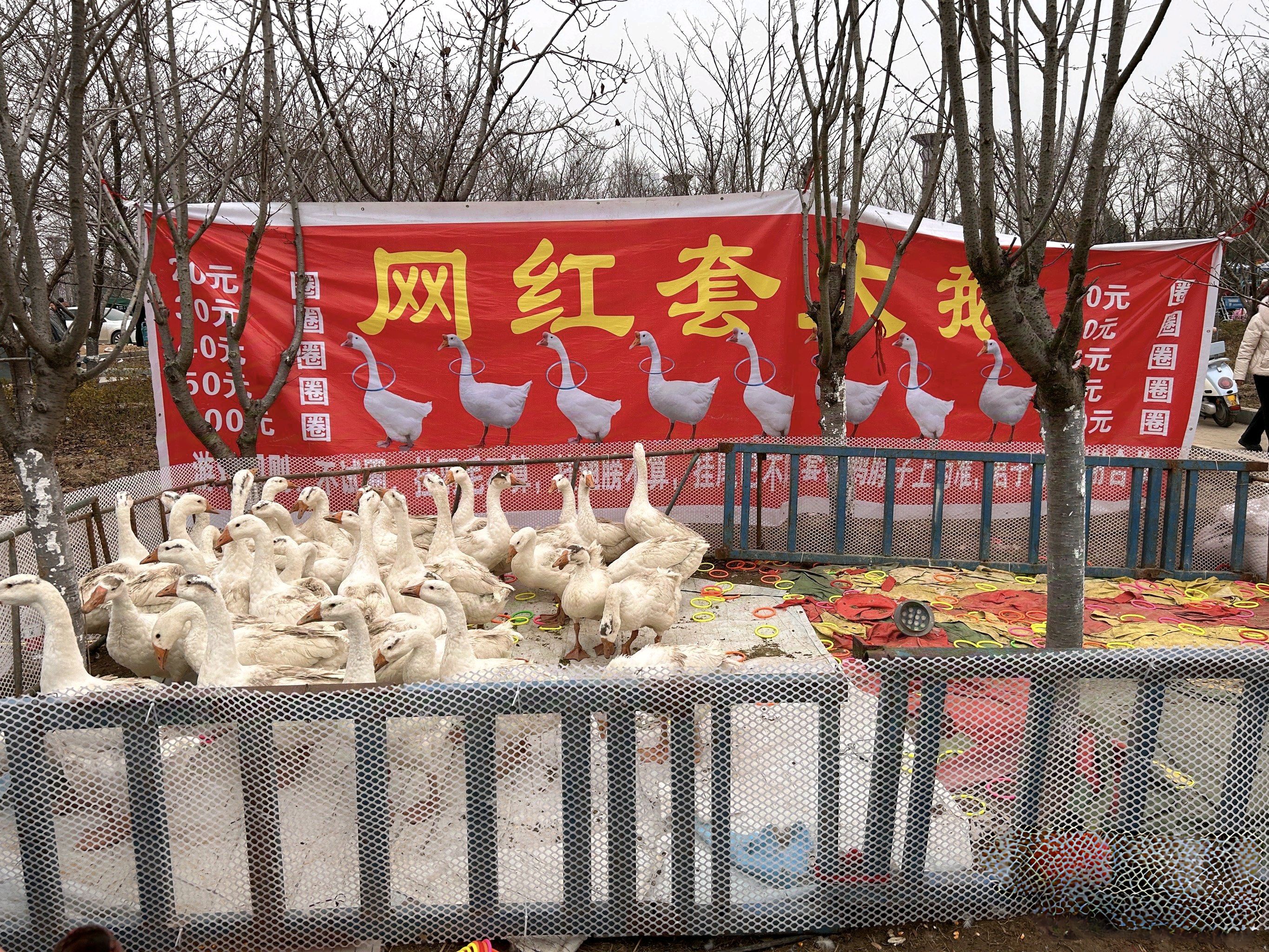 陈胜公园旅行图片 3