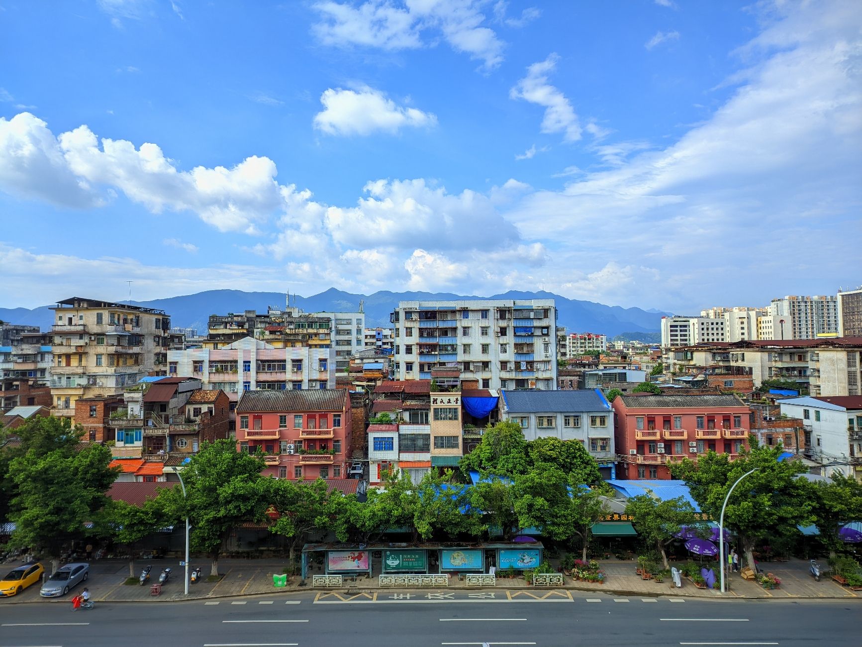 肇庆府署遗址公园旅行图片 3