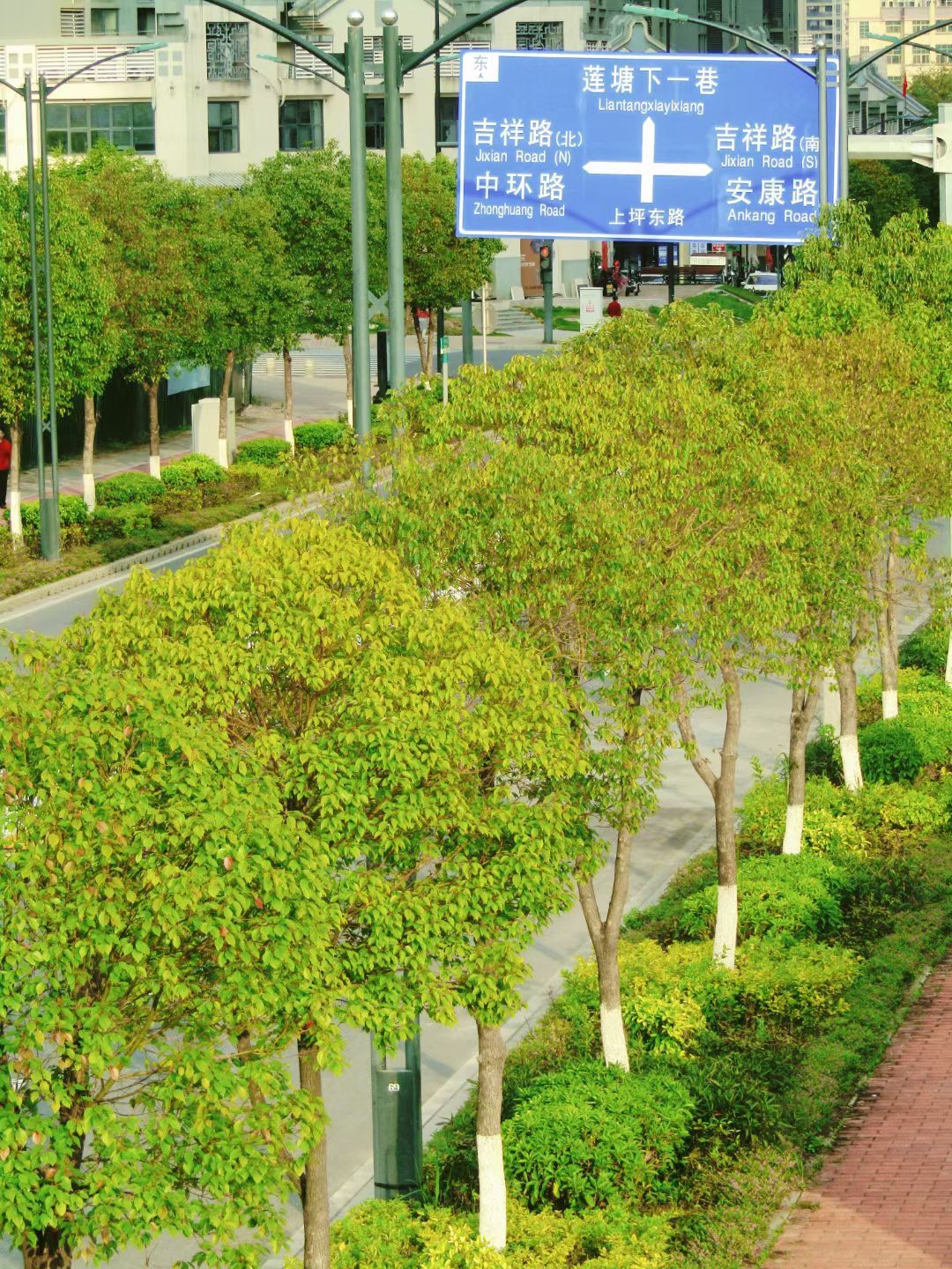 绿轴花园广场旅行图片 2
