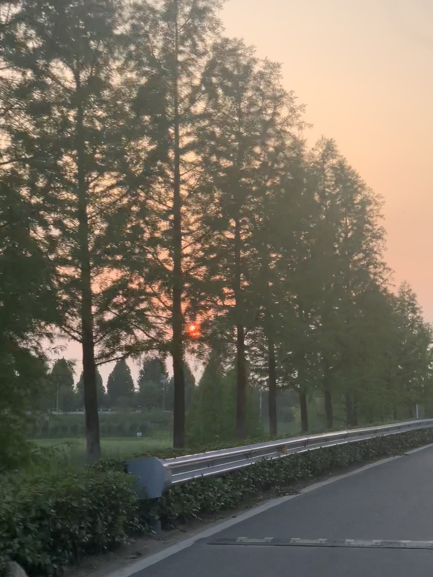 长葛工业主题公园旅行图片 2