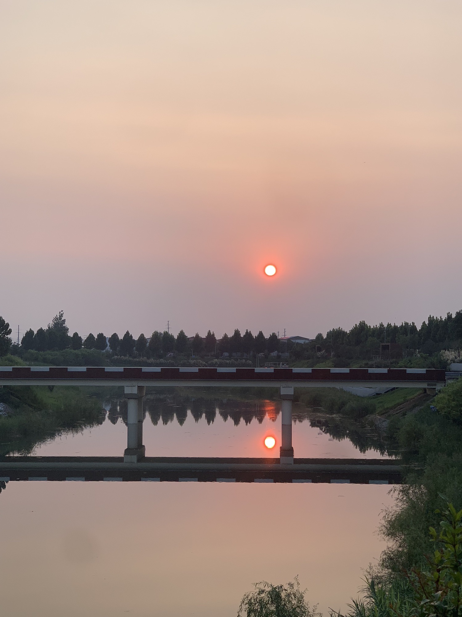 长葛工业主题公园旅行图片 1
