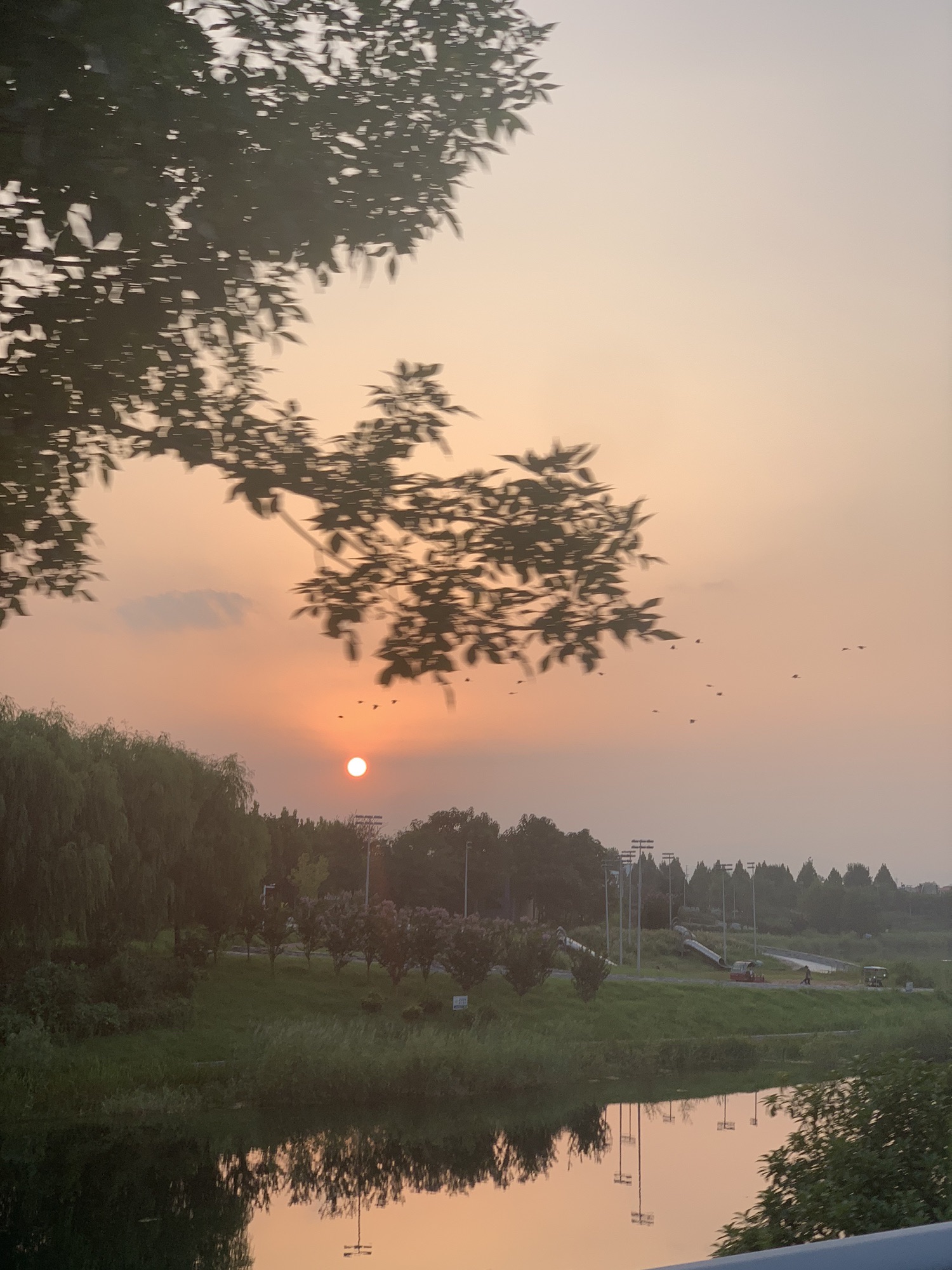 长葛工业主题公园旅行图片 1