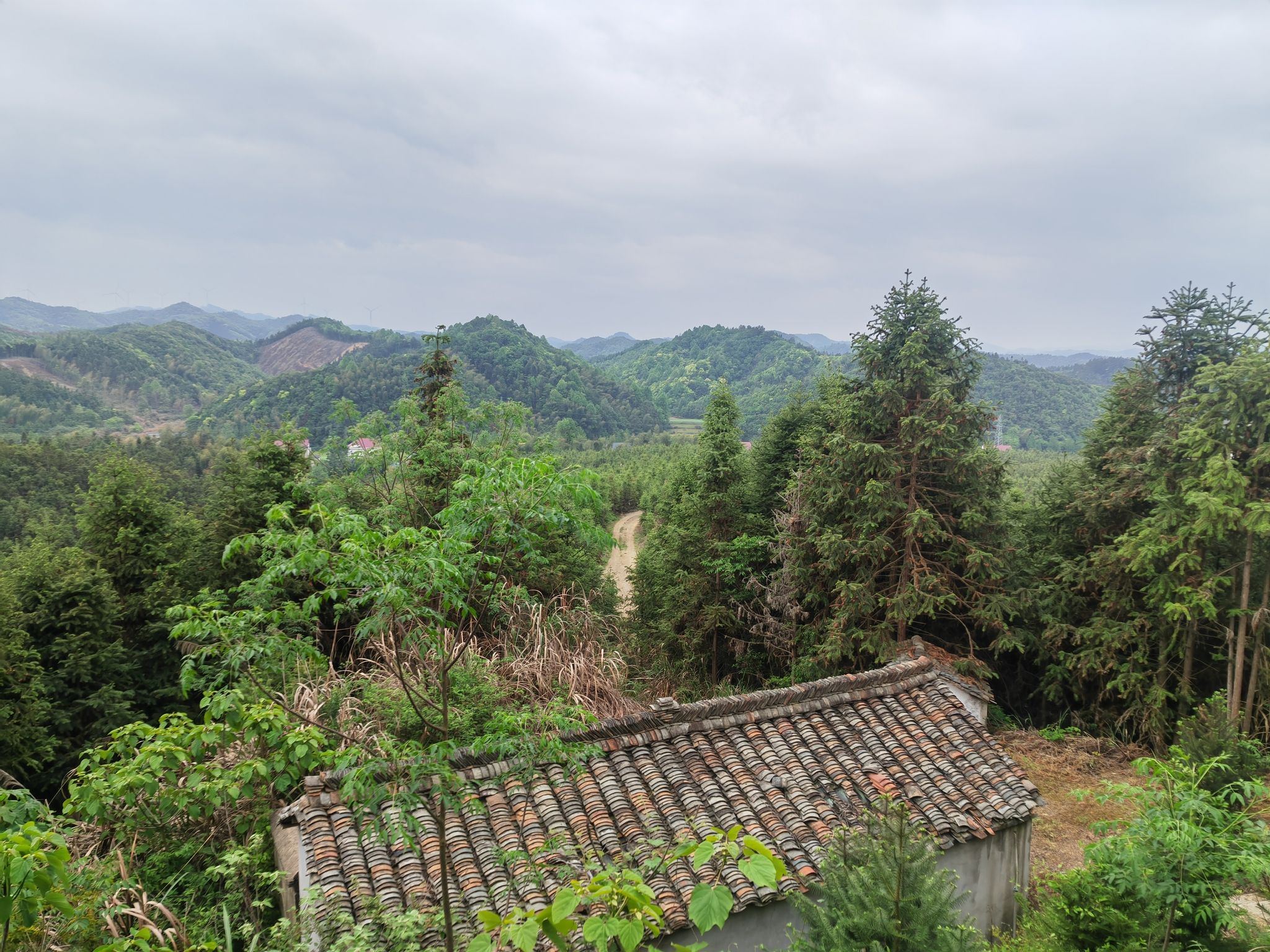 西峰寺