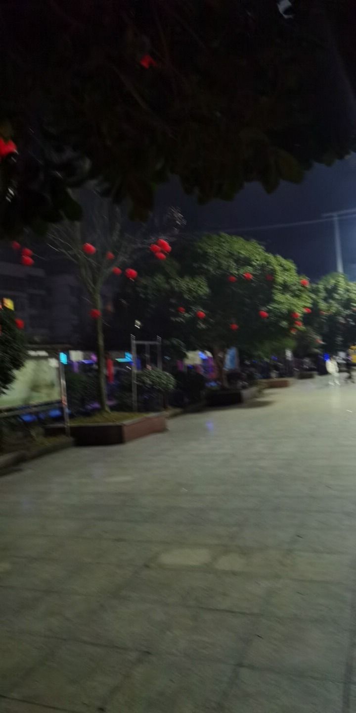 云龙健康公园旅行图片 1
