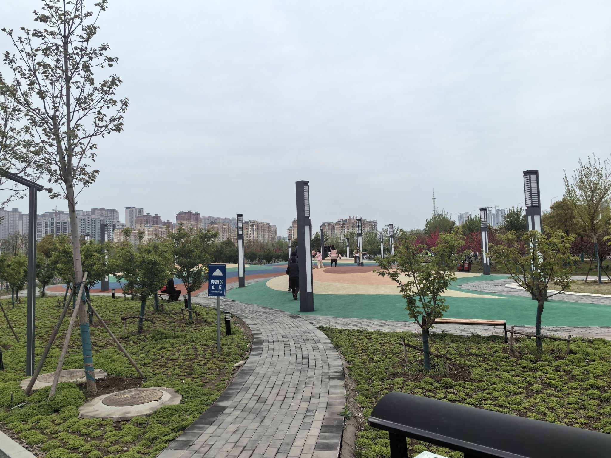 龙湖湿地公园旅行图片 3