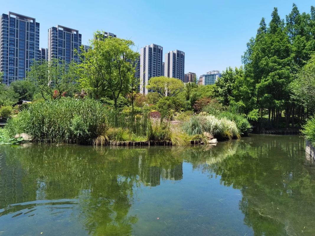 龙湖湿地公园