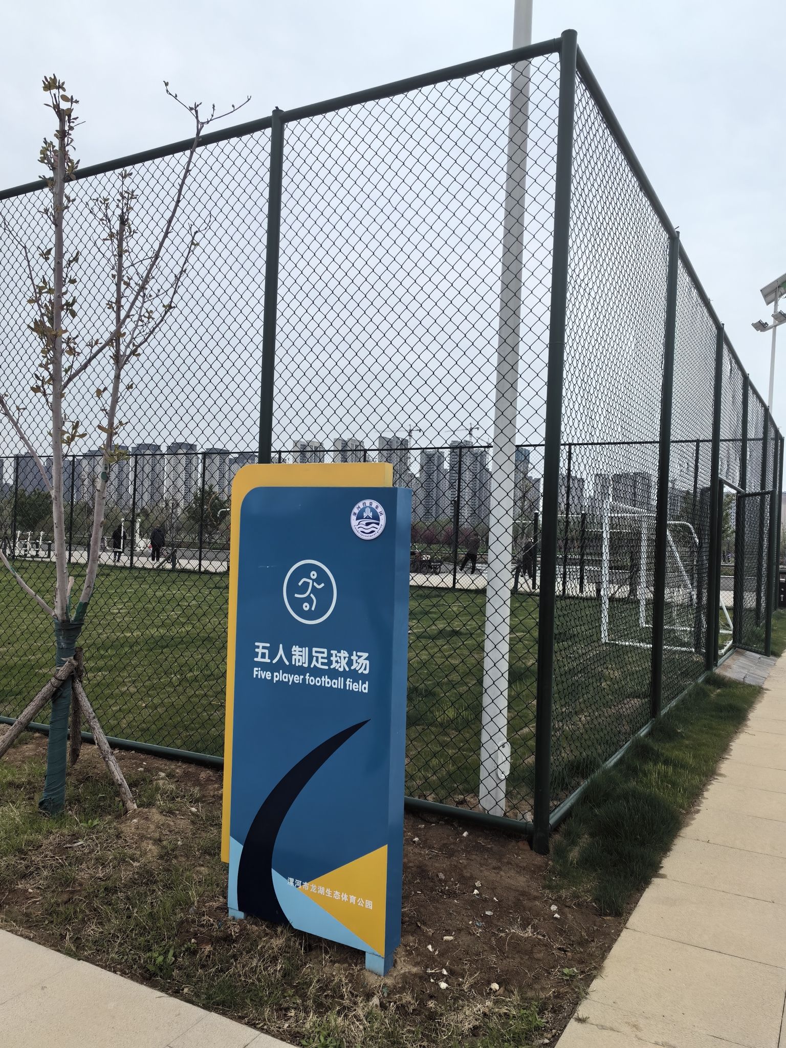 龙湖湿地公园旅行图片 1