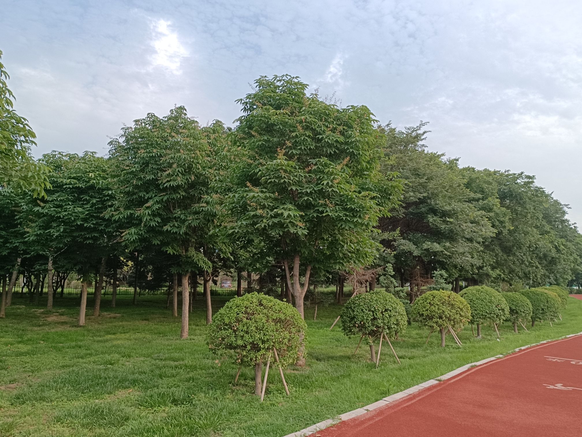 机场西湖旅行图片 1