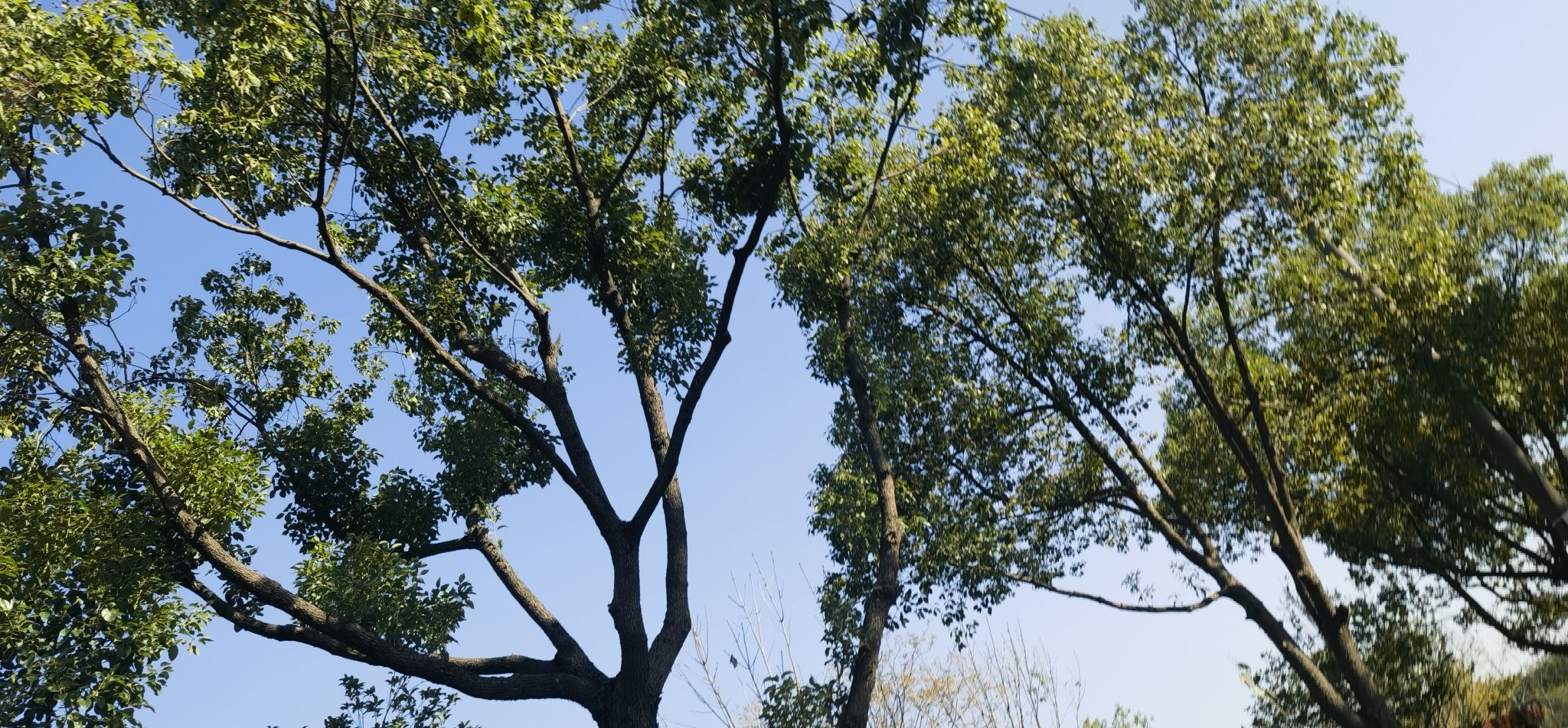 锦绣文化公园旅行图片 1