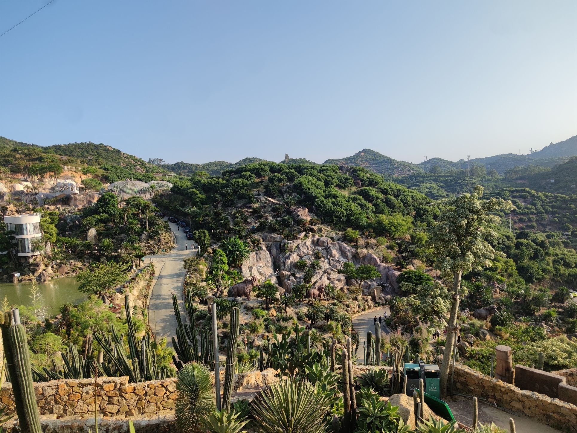福建石岩植物园旅行图片 2