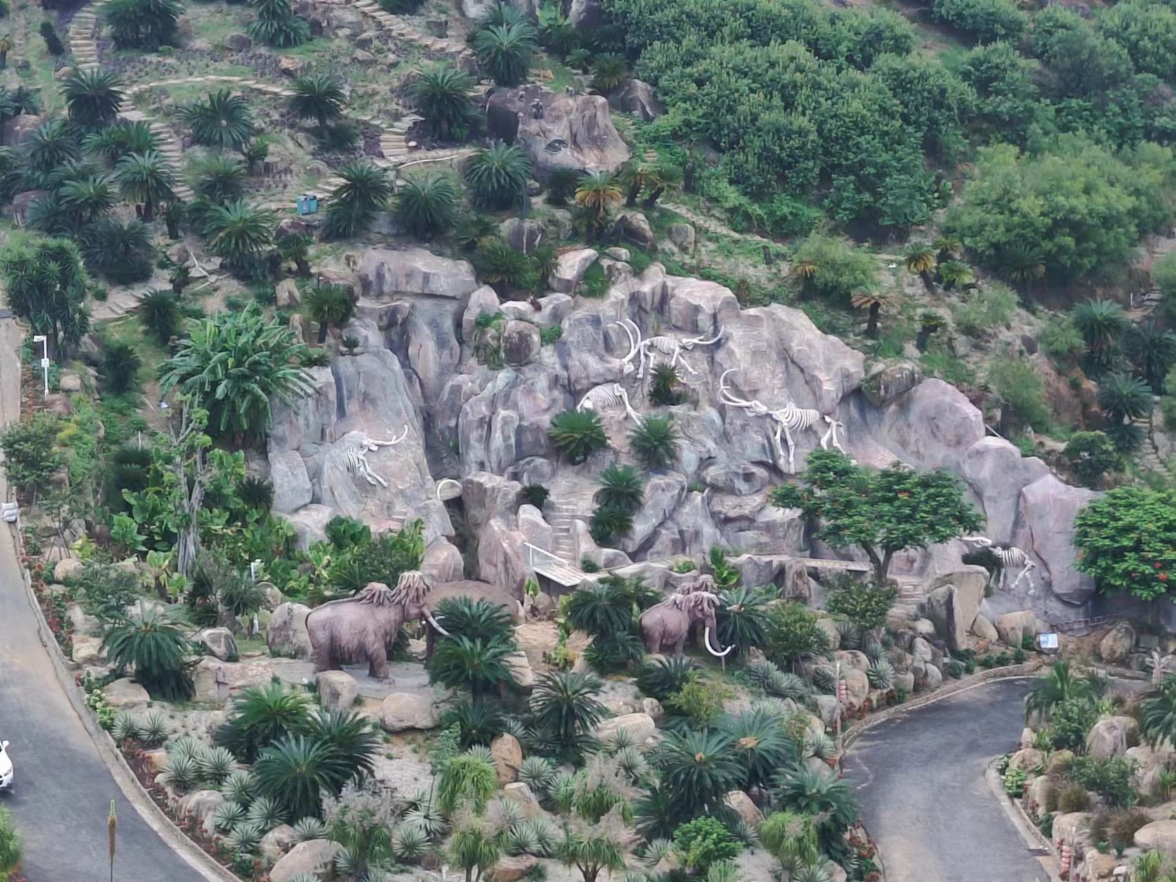 福建石岩植物园旅行图片 2