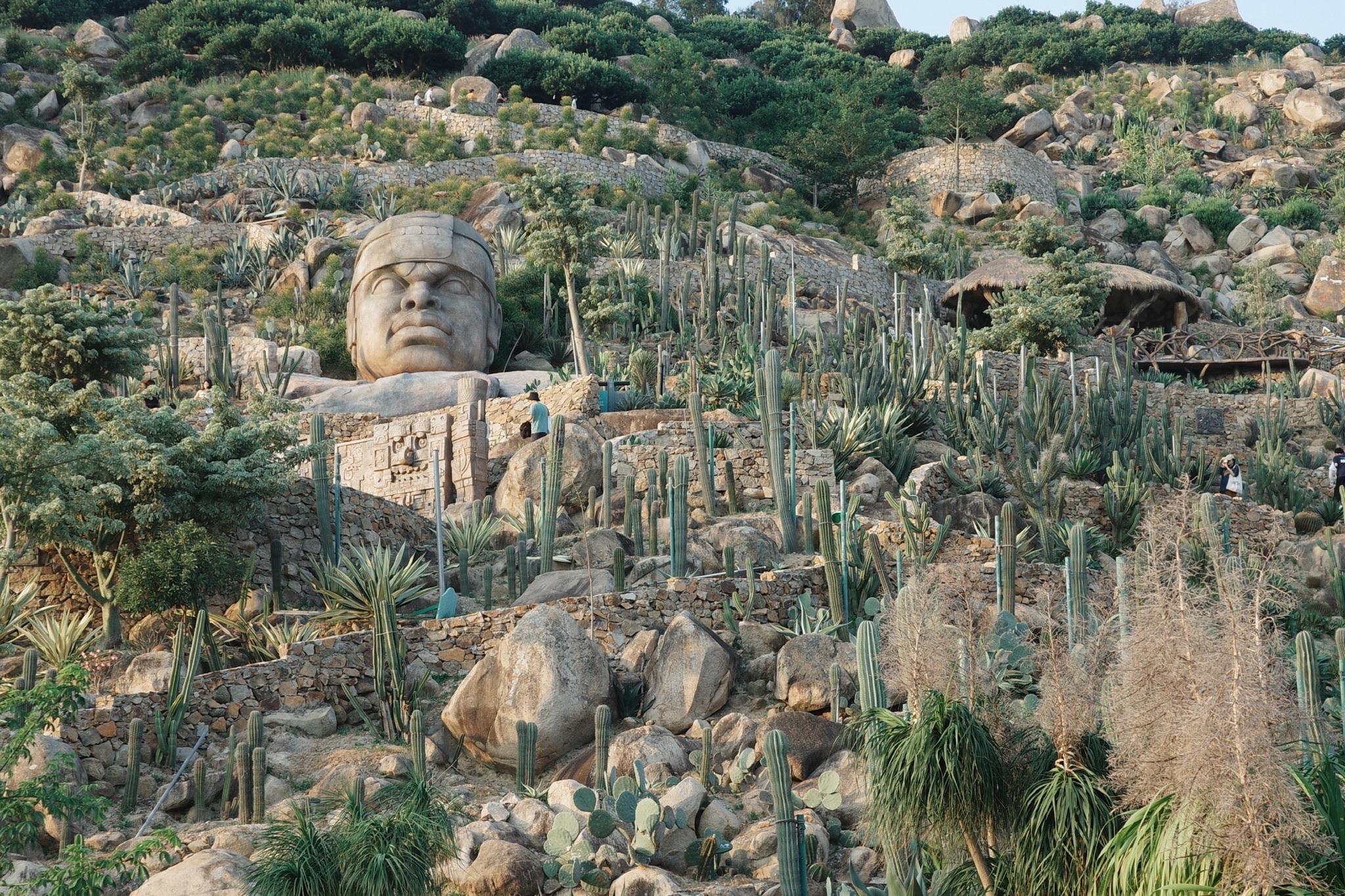 福建石岩植物园旅行图片 3