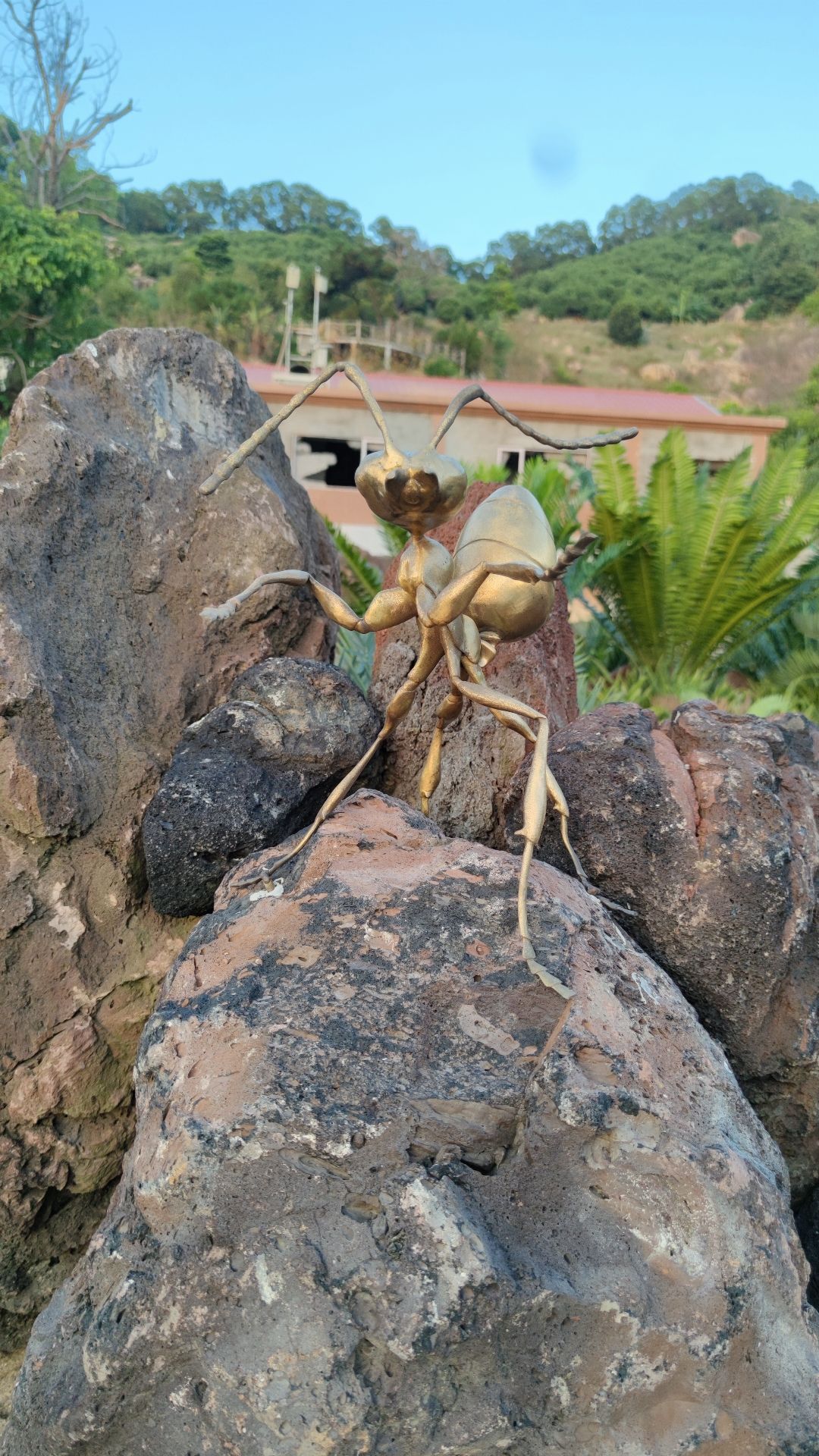 福建石岩植物园旅行图片 1