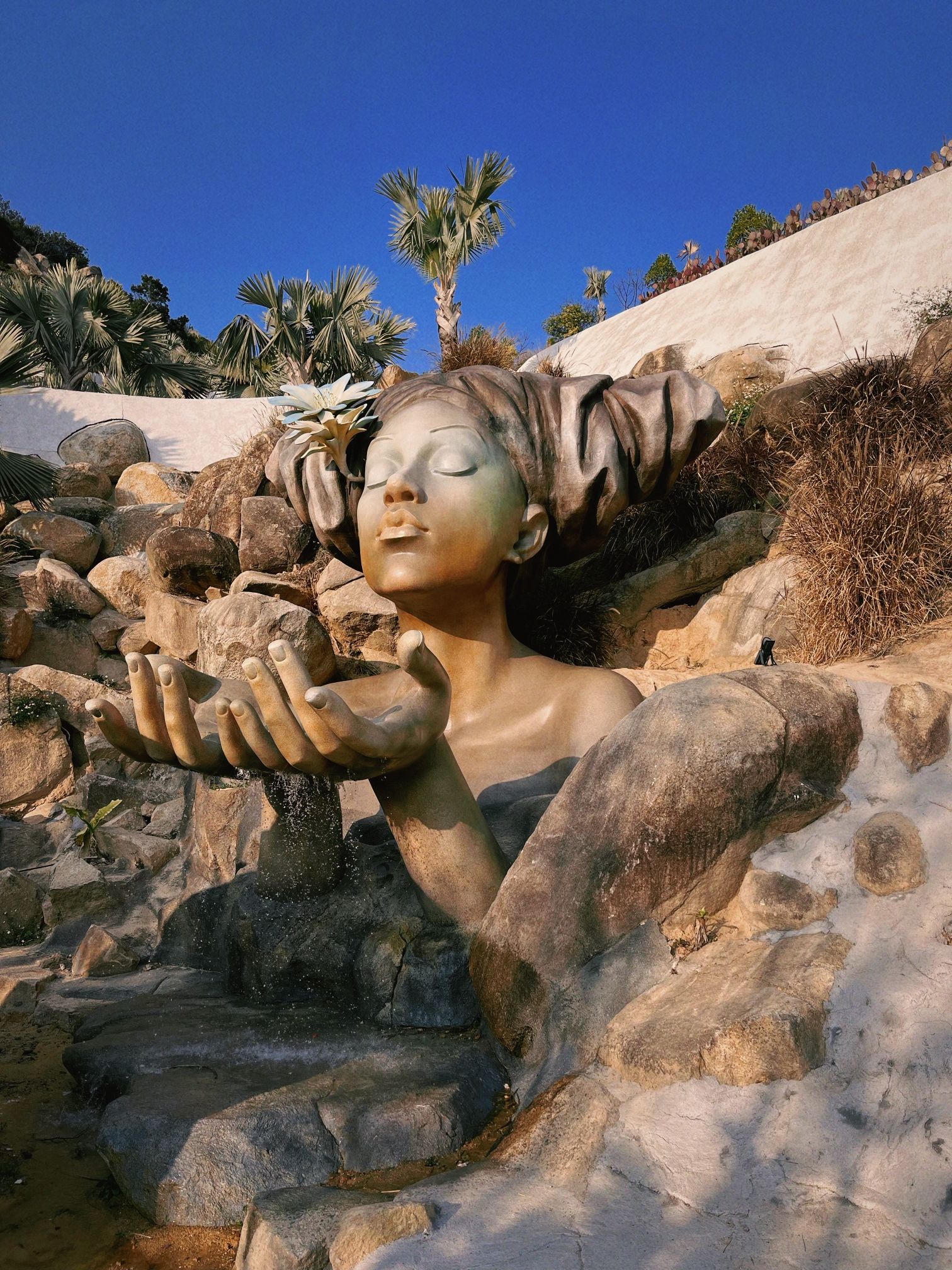 福建石岩植物园旅行图片 3