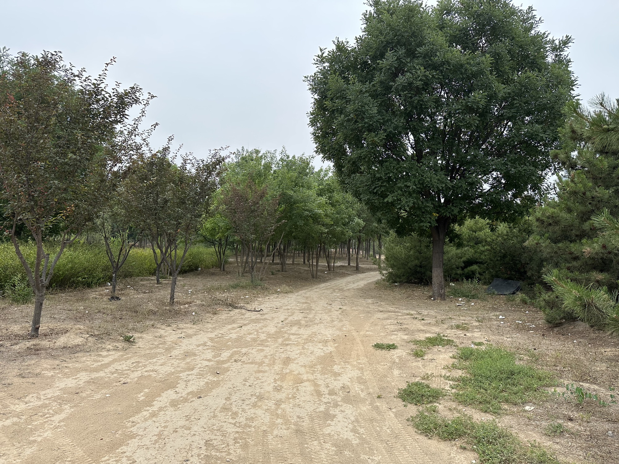分钟寺旅行图片 1