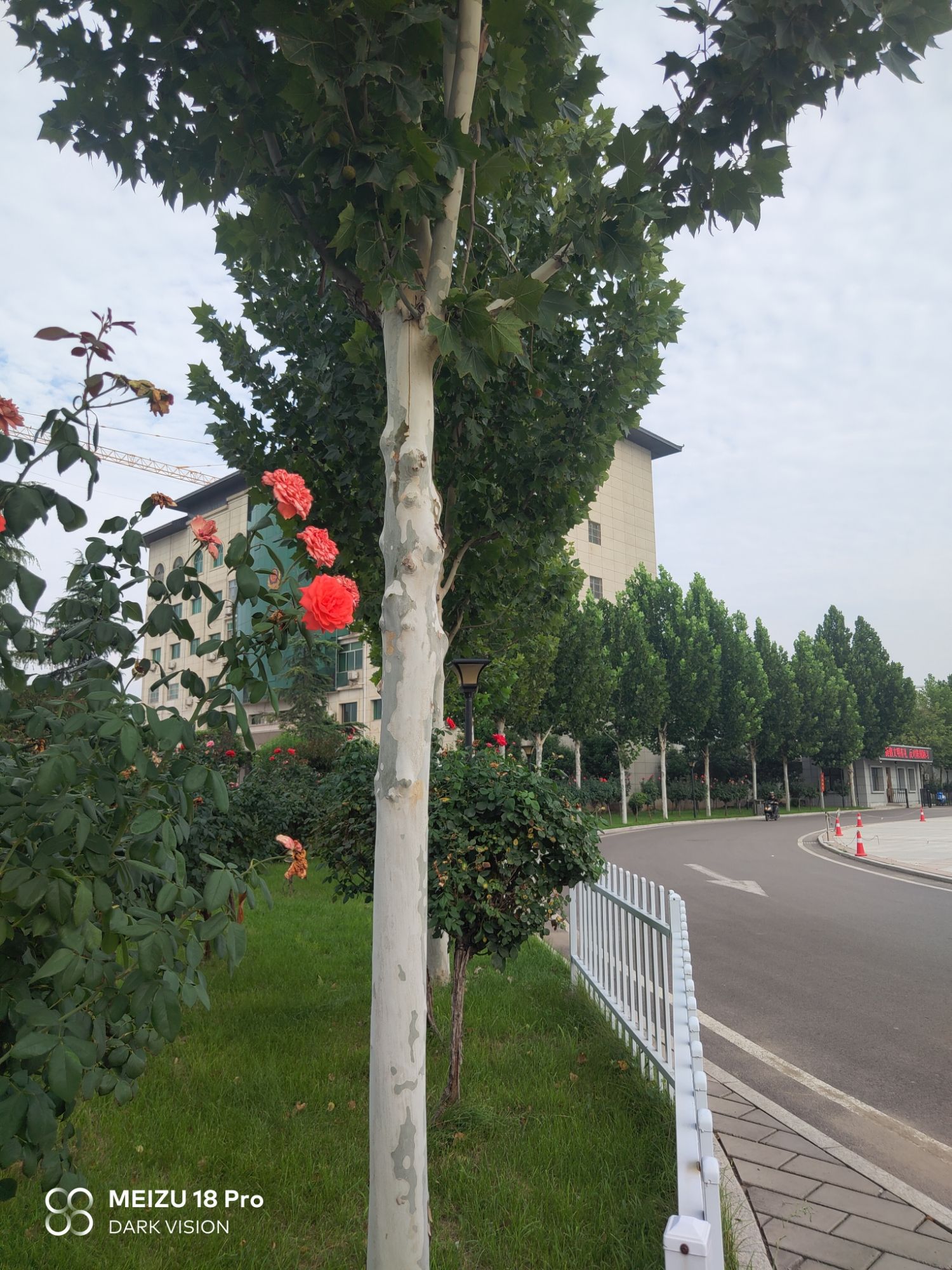 府前广场旅行图片 1