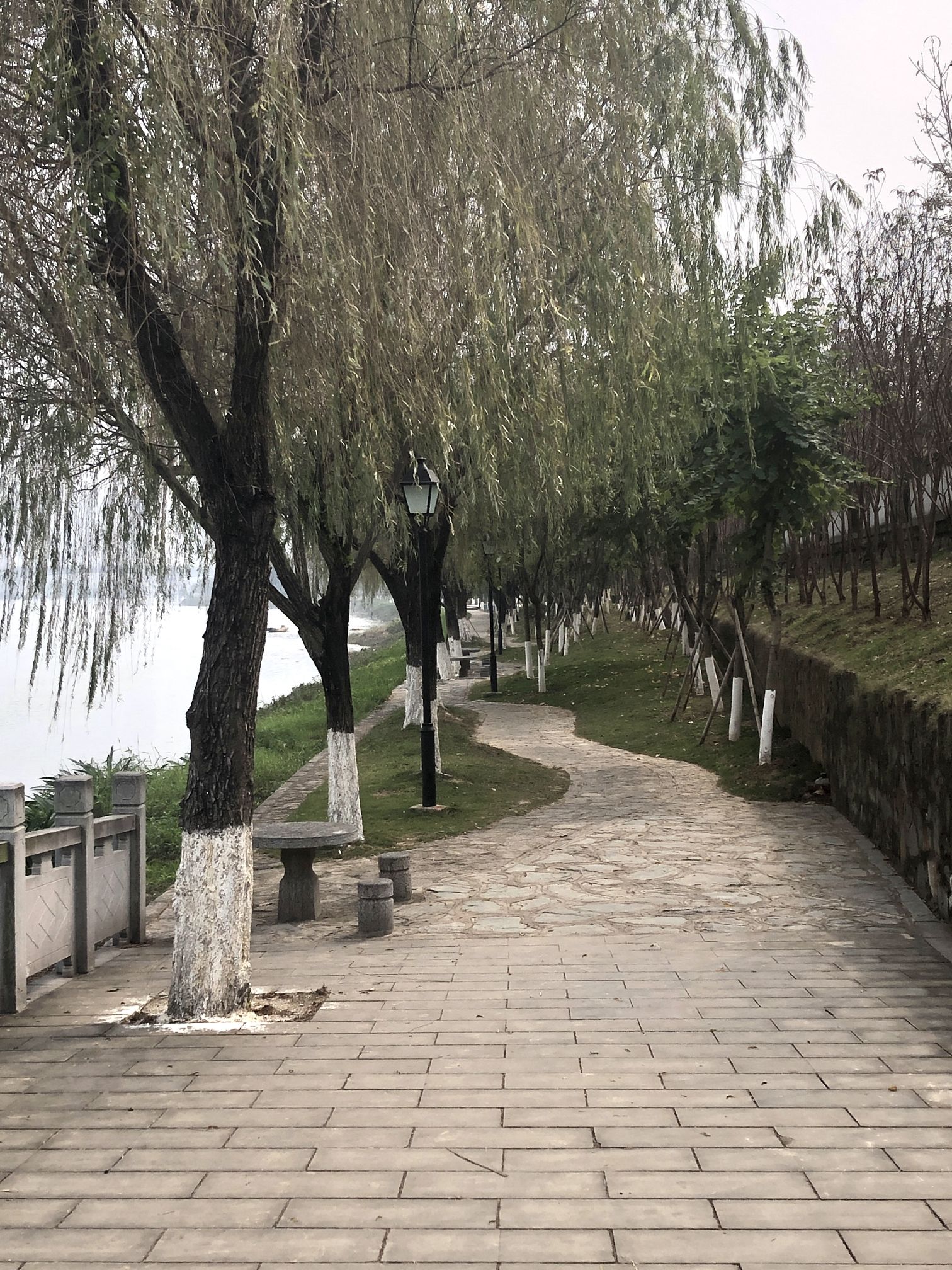 平南古渡旅行图片 1
