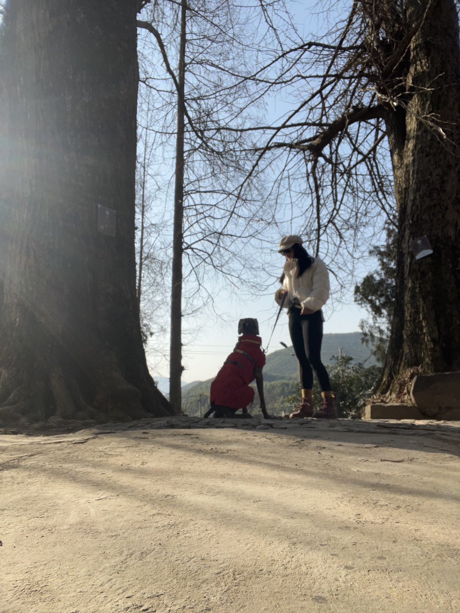 龙潭步道旅行图片 3