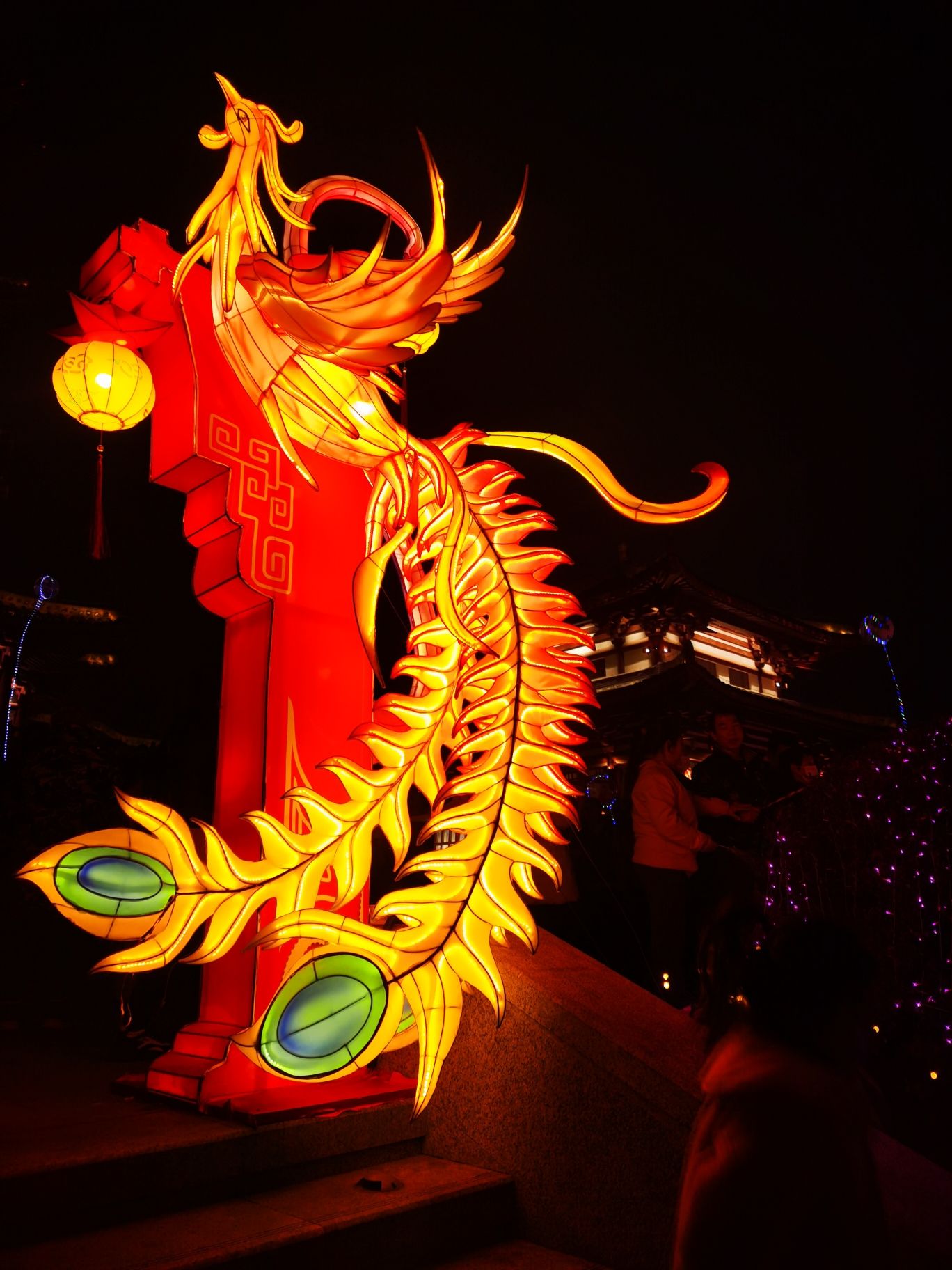 宜宾东楼旅行图片 3
